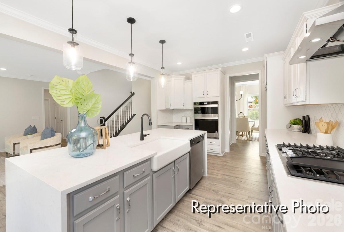 285 Gray Wolf Street 115p