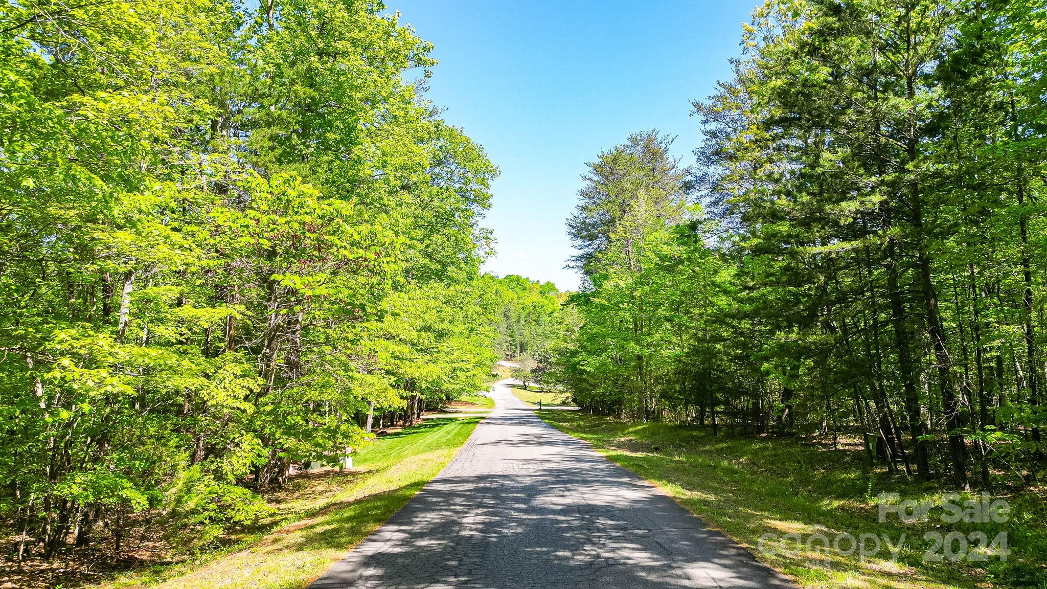 Wilkins Forest - Land