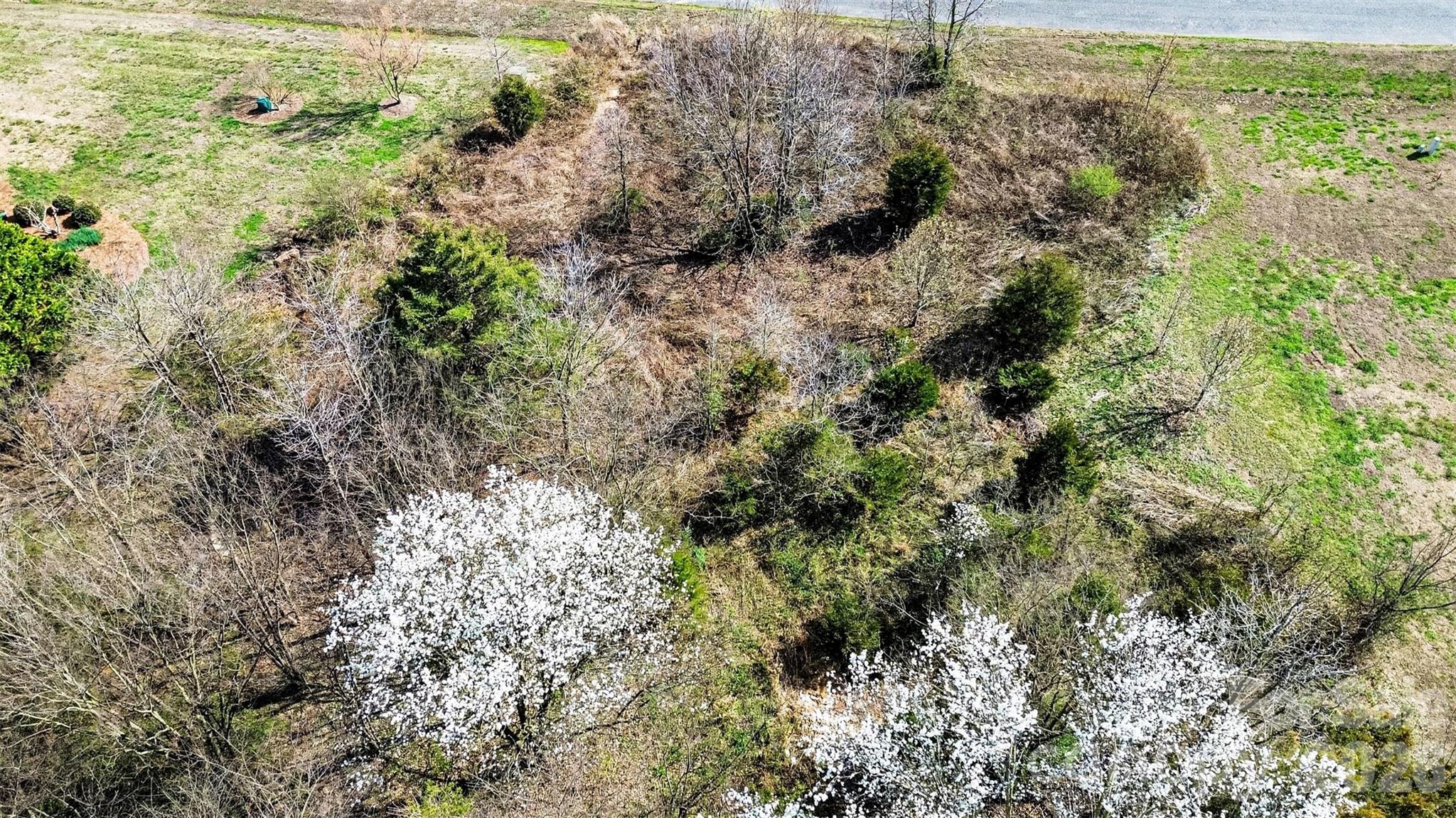 Waverly Place - Land