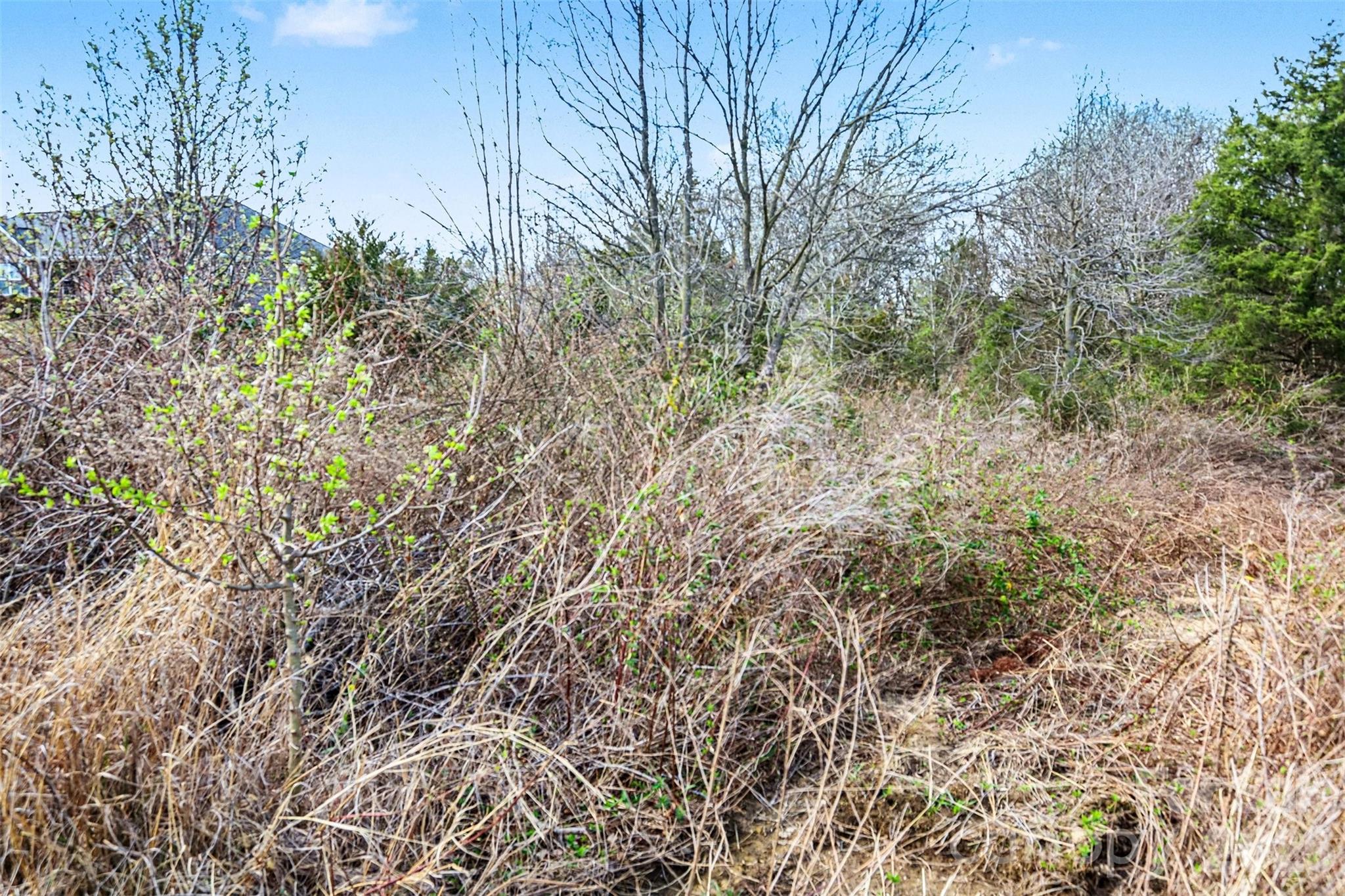 Waverly Place - Land