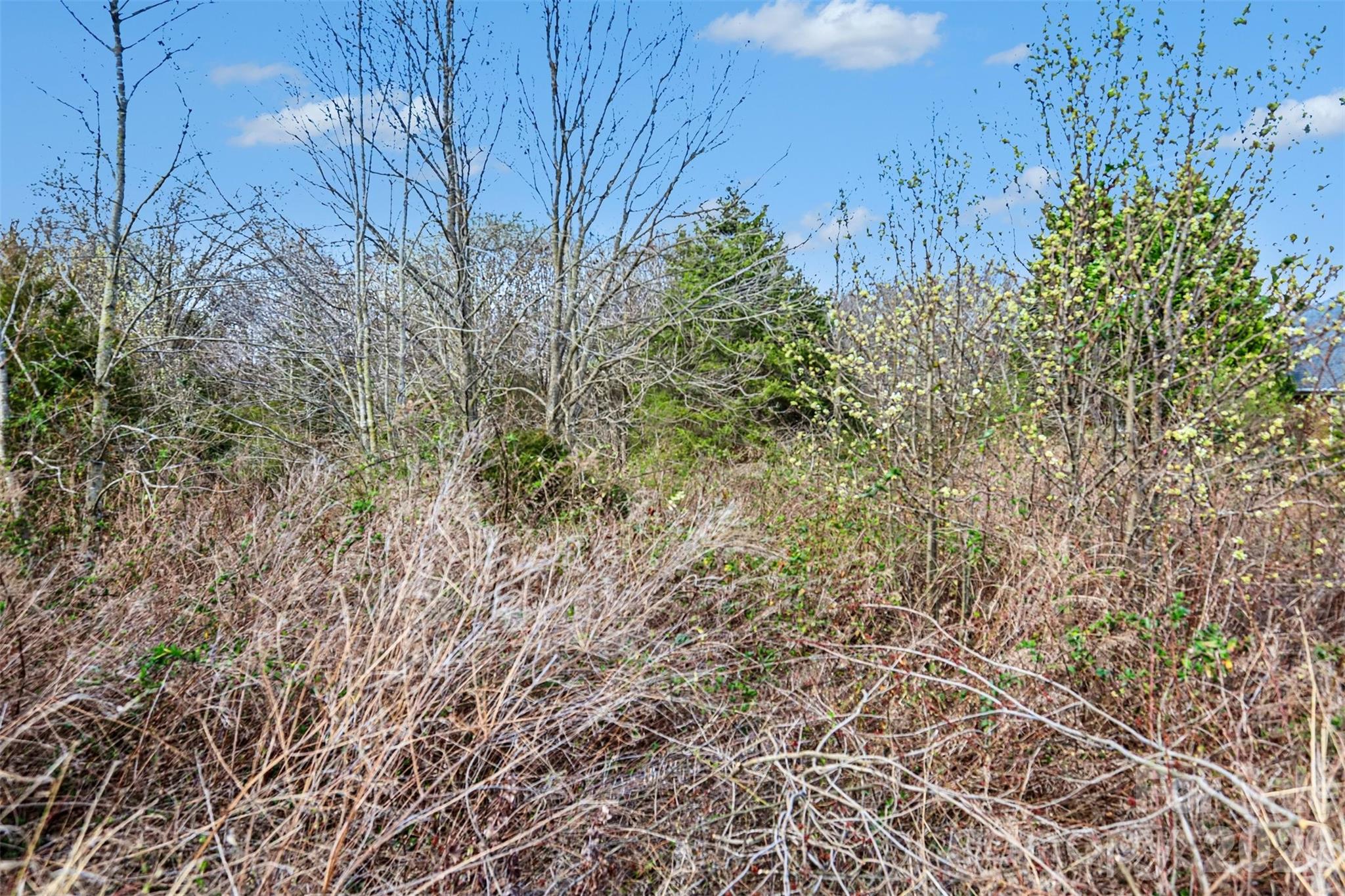 Waverly Place - Land