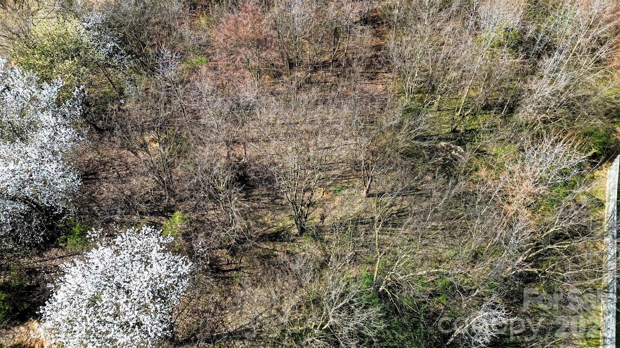 Waverly Place - Land