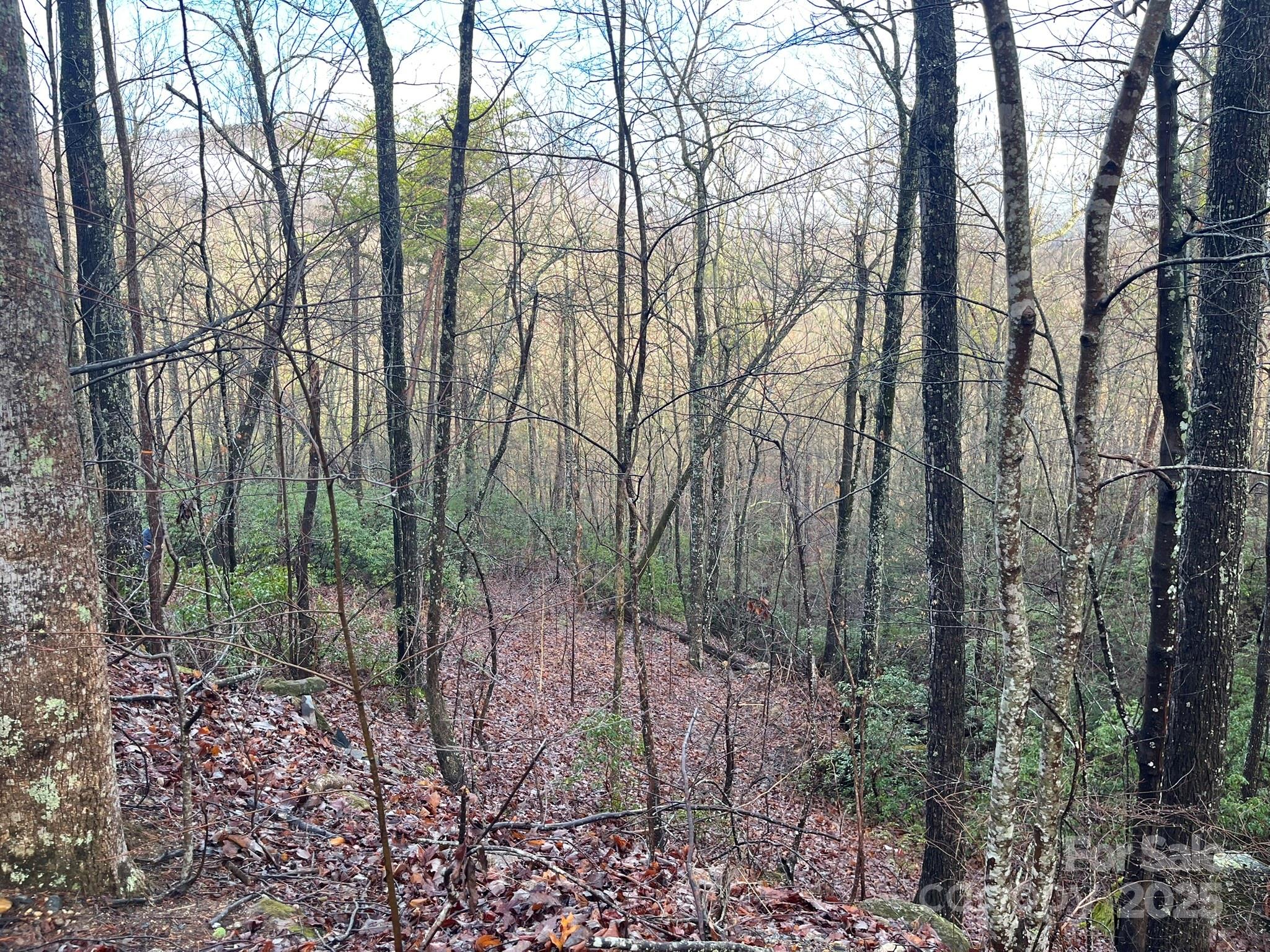 Riverbend Highlands - Land