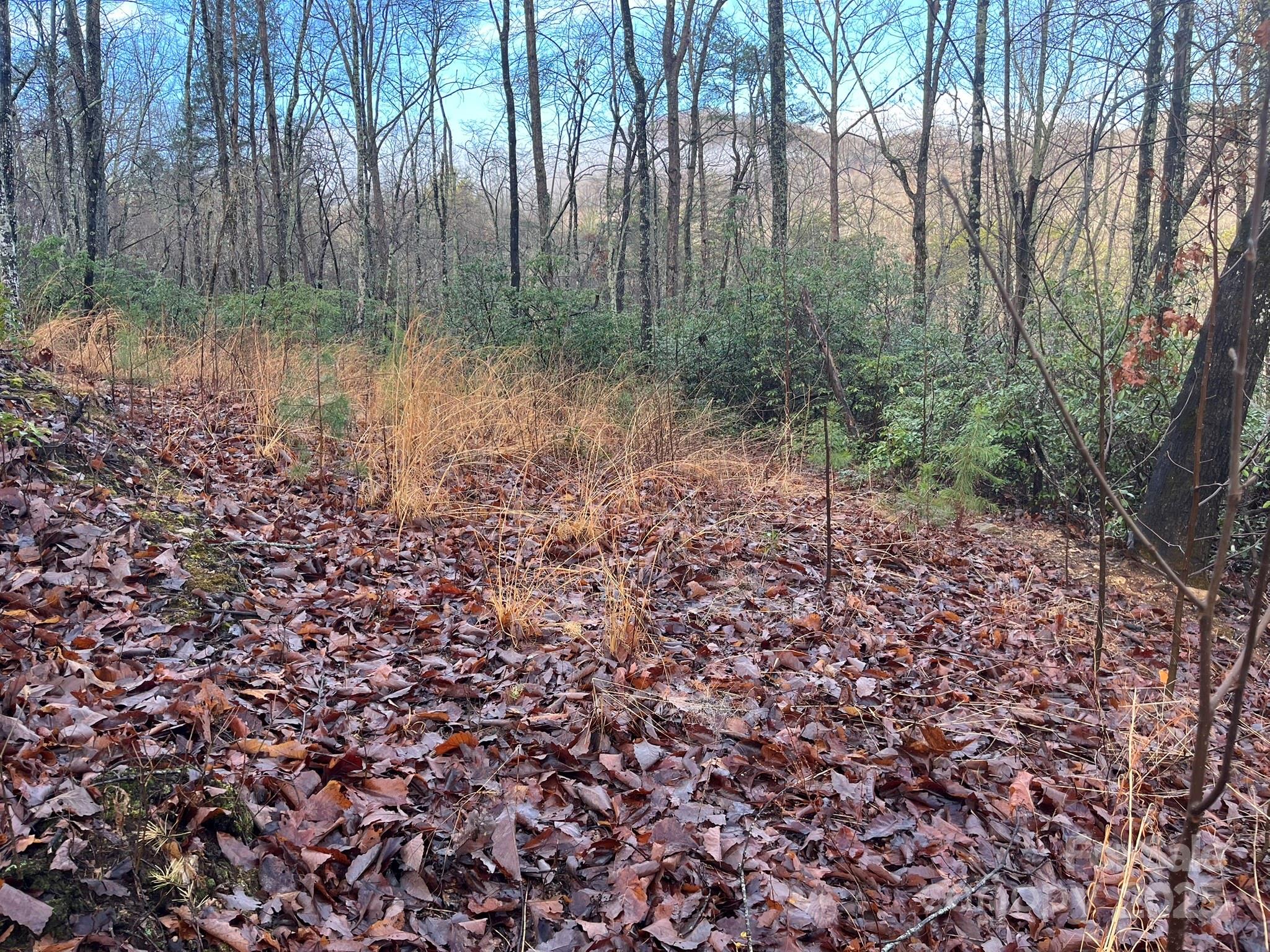 Riverbend Highlands - Land