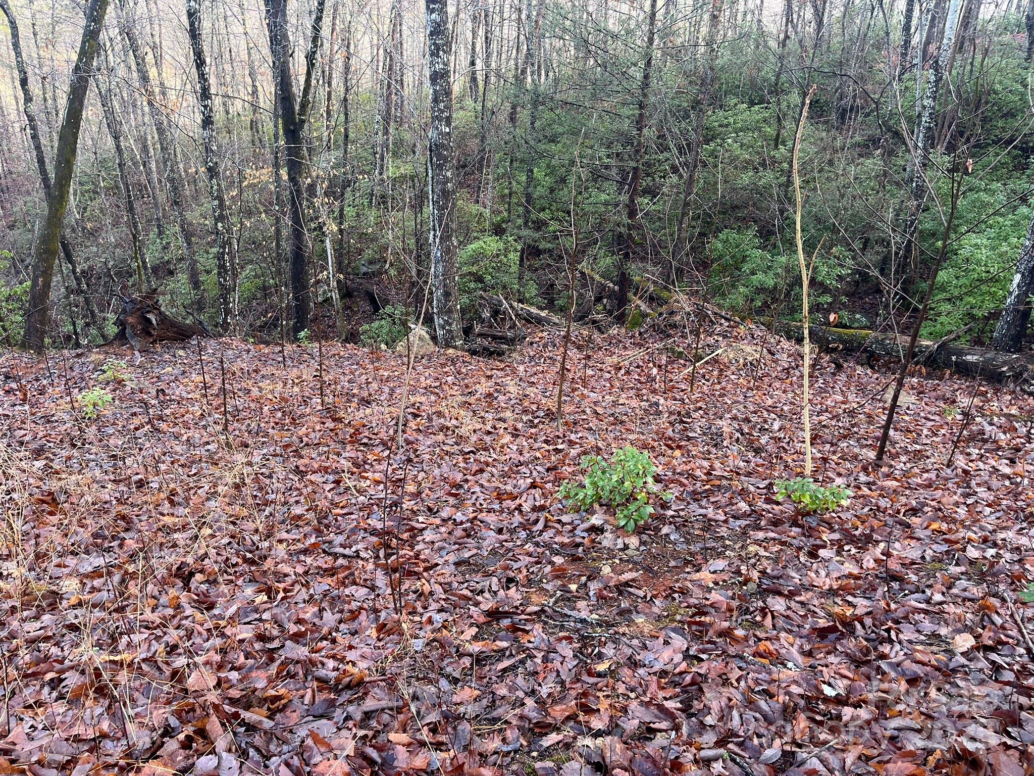 Riverbend Highlands - Land