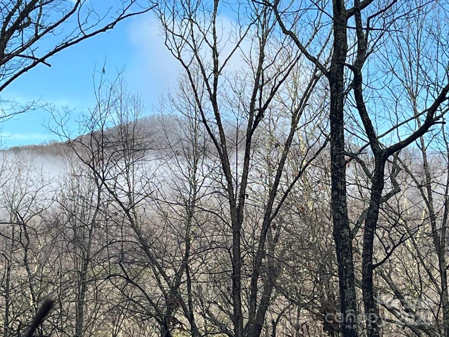Very convenient location for this 1.57-acre parcel in the Riverbend Highlands community. Located just three lots up from the Buffalo Creek Rd/Cedar Creek Rd entrance to the community, this parcel features a great building spot already partially cleared with wonderful mountain views, a small creek, and peaceful setting. Just a short drive from the Cedar Creek/Buffalo Creek Rd access, making grocery shopping, and trips to dining or town super convenient. Come build your mountain retreat today!