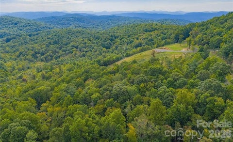 Photo of 49 Wildcat Wilderness Parkway, Deep Gap, NC 28618 (MLS # 4435424)