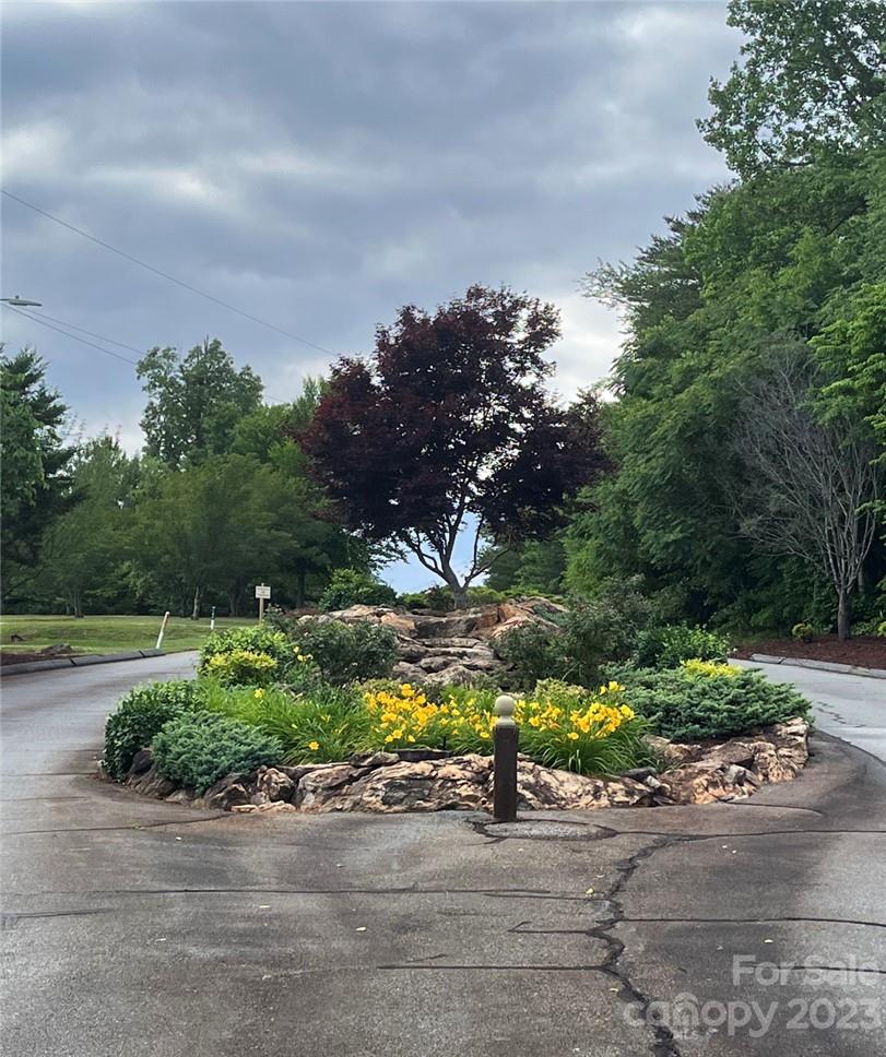 Clearwater Creek - Land