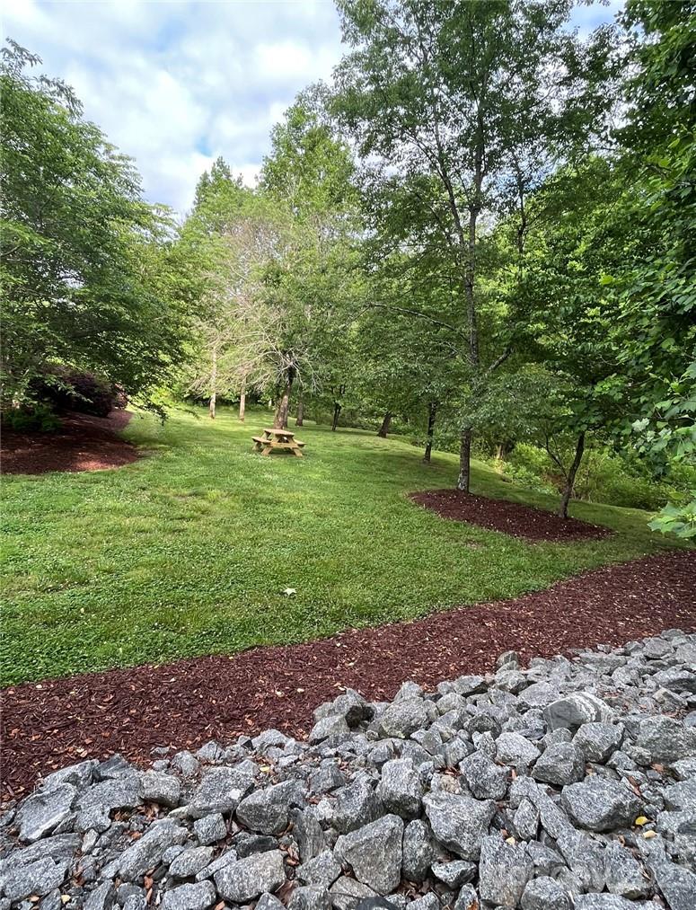 Clearwater Creek - Land