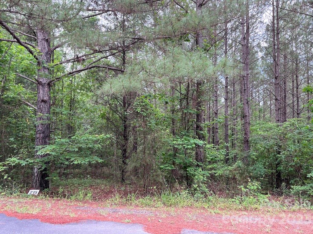 Clearwater Creek - Land