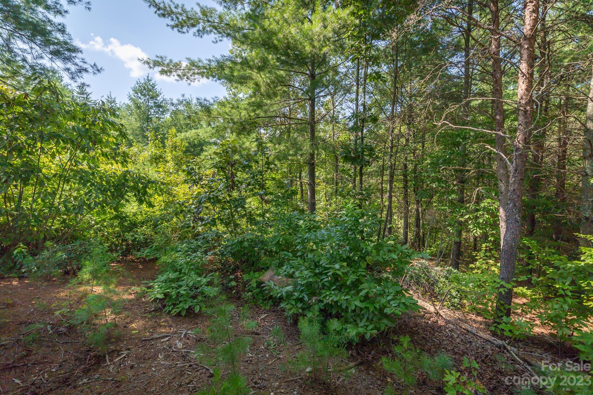 Hawksbill at Lake James - Land