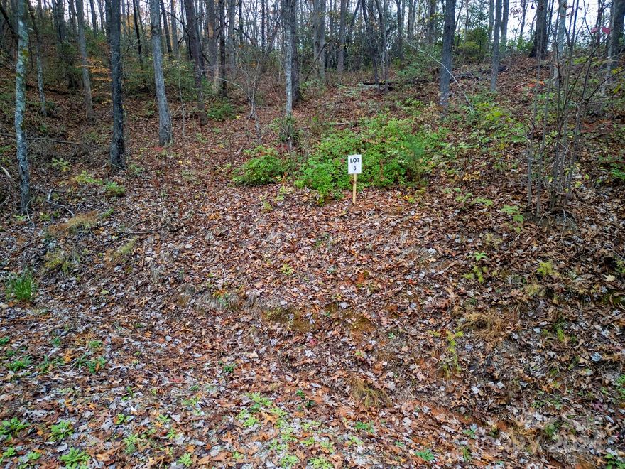 New and exciting opportunity for building in the Old Fort Community!  Be the first to build in the unspoiled richness of Cherry Cove Subdivision, located just a couple of miles from the town center of Old Fort!  This property is situated just along US Highway 70 W.  It is a wooded and private new area that offers so much! Minutes away from downtown Old Fort, Marion and Black Mountain, you will have quick and easy access to restaurants, breweries, shopping, hiking, kayaking, biking and so much more.  I-40 is also an easy access for longer trips to Hickory, Charlotte, Asheville and Tennessee.  This wooded lot is at the end of Cherry Cove Way at the cul-de-sac.  The rhododendrons and ferns on this property are so abundant, full and beautiful.  Come on and take a look and get started on your new home today!