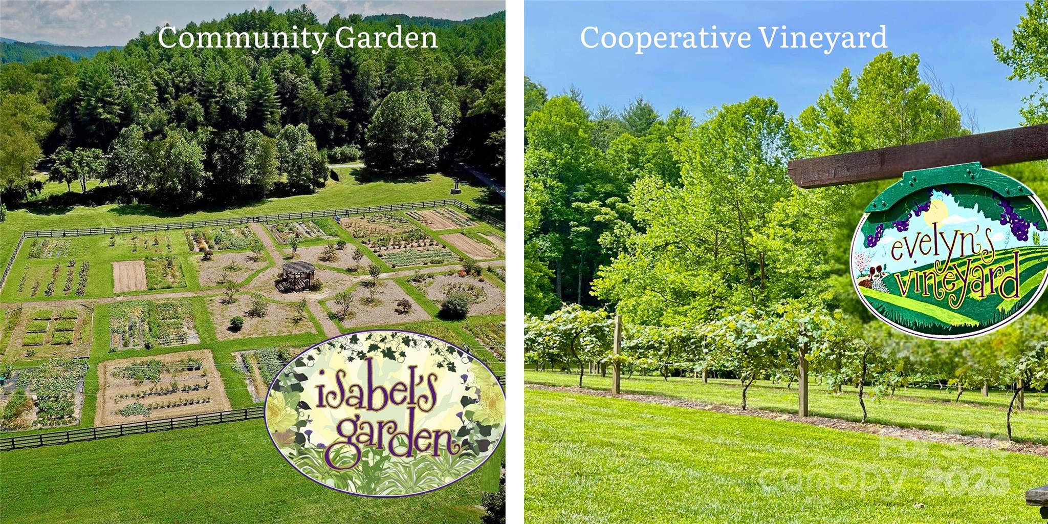 The Coves Mountain River Club - Land