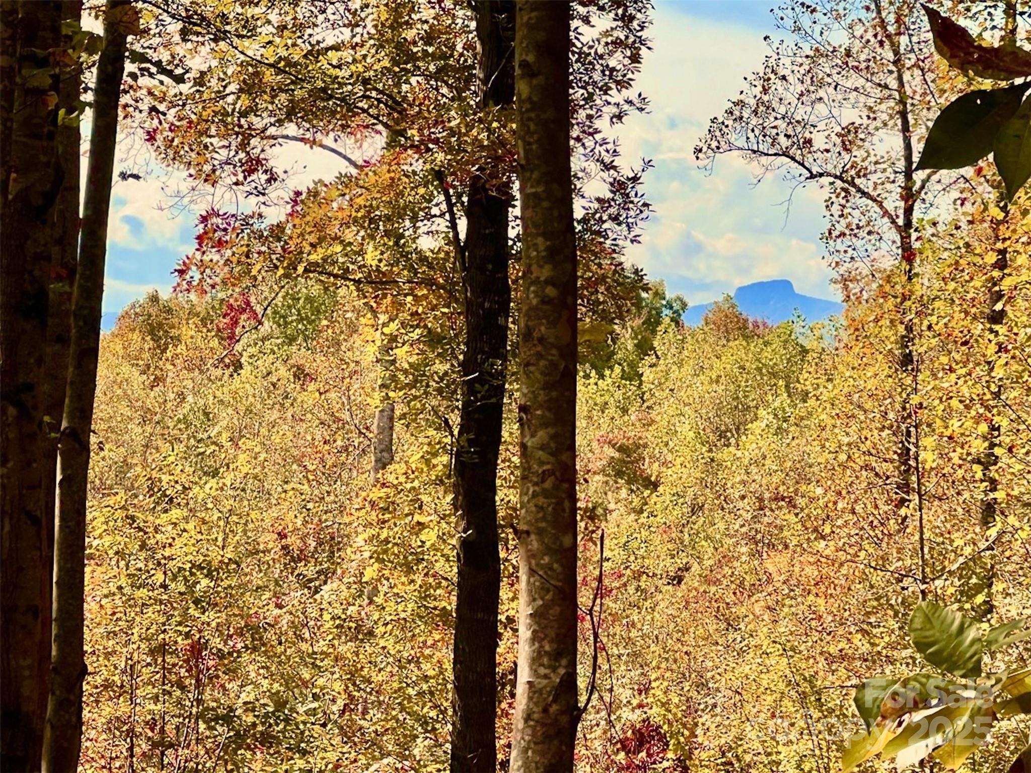 The Coves Mountain River Club - Land