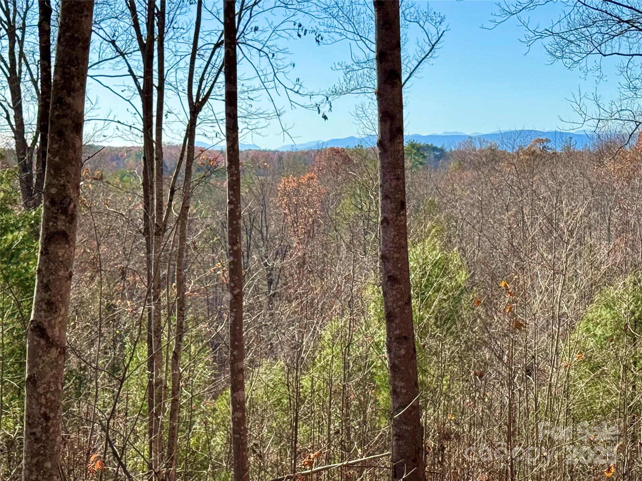 The Coves Mountain River Club - Land