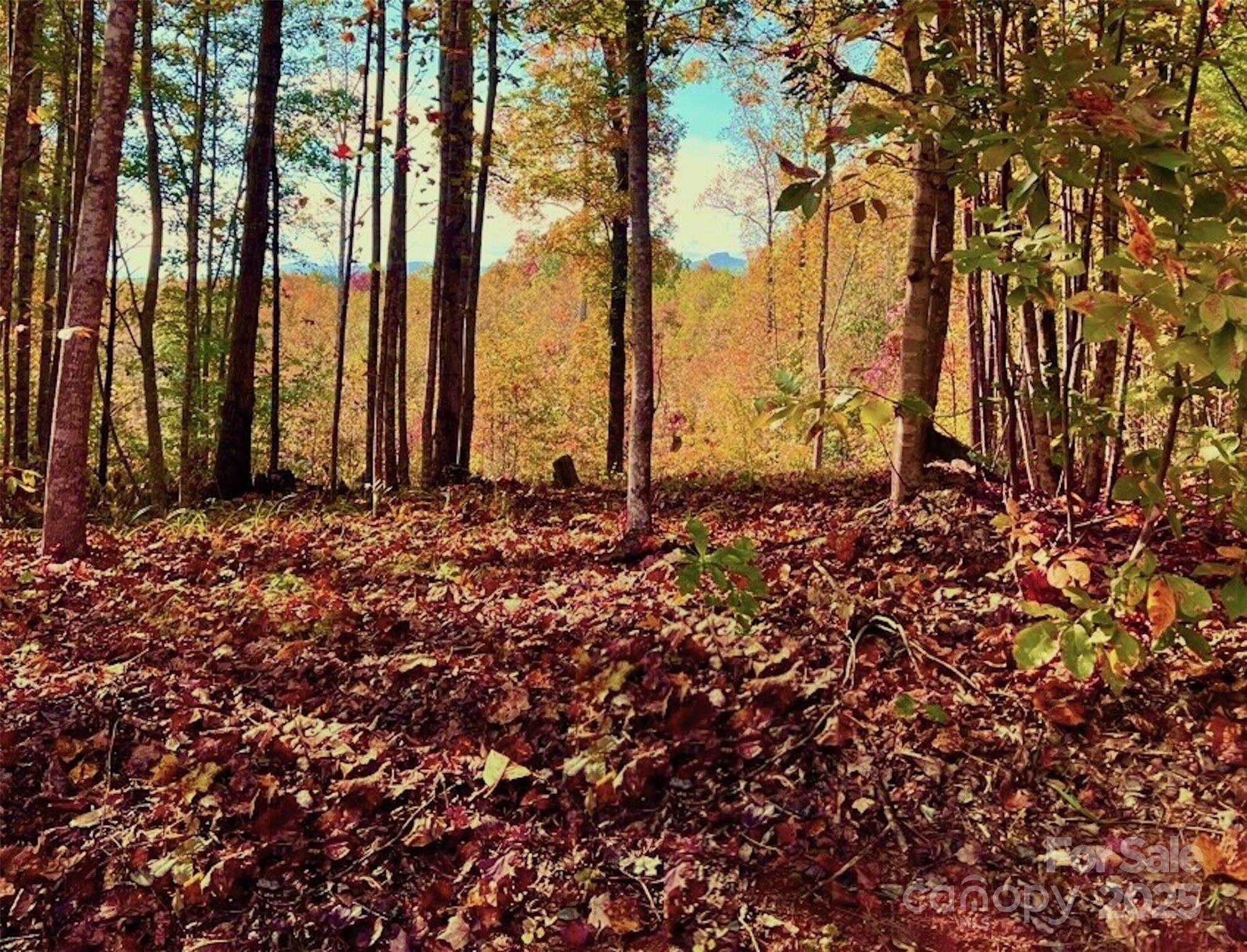 The Coves Mountain River Club - Land