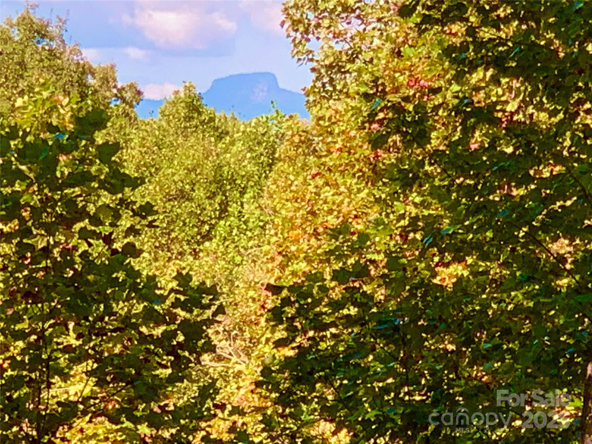 1.85 acres, Lot 925 High Valley Way 925