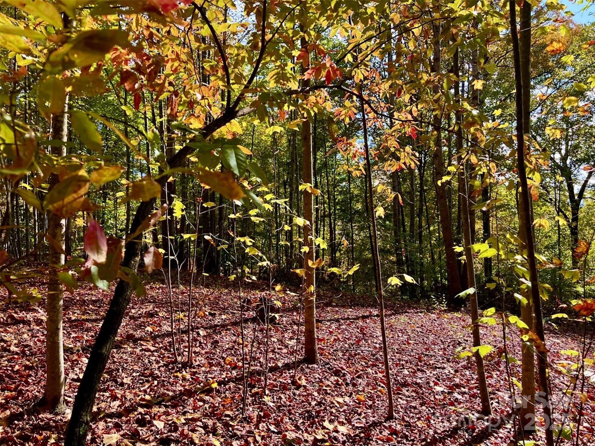 The Coves Mountain River Club - Land