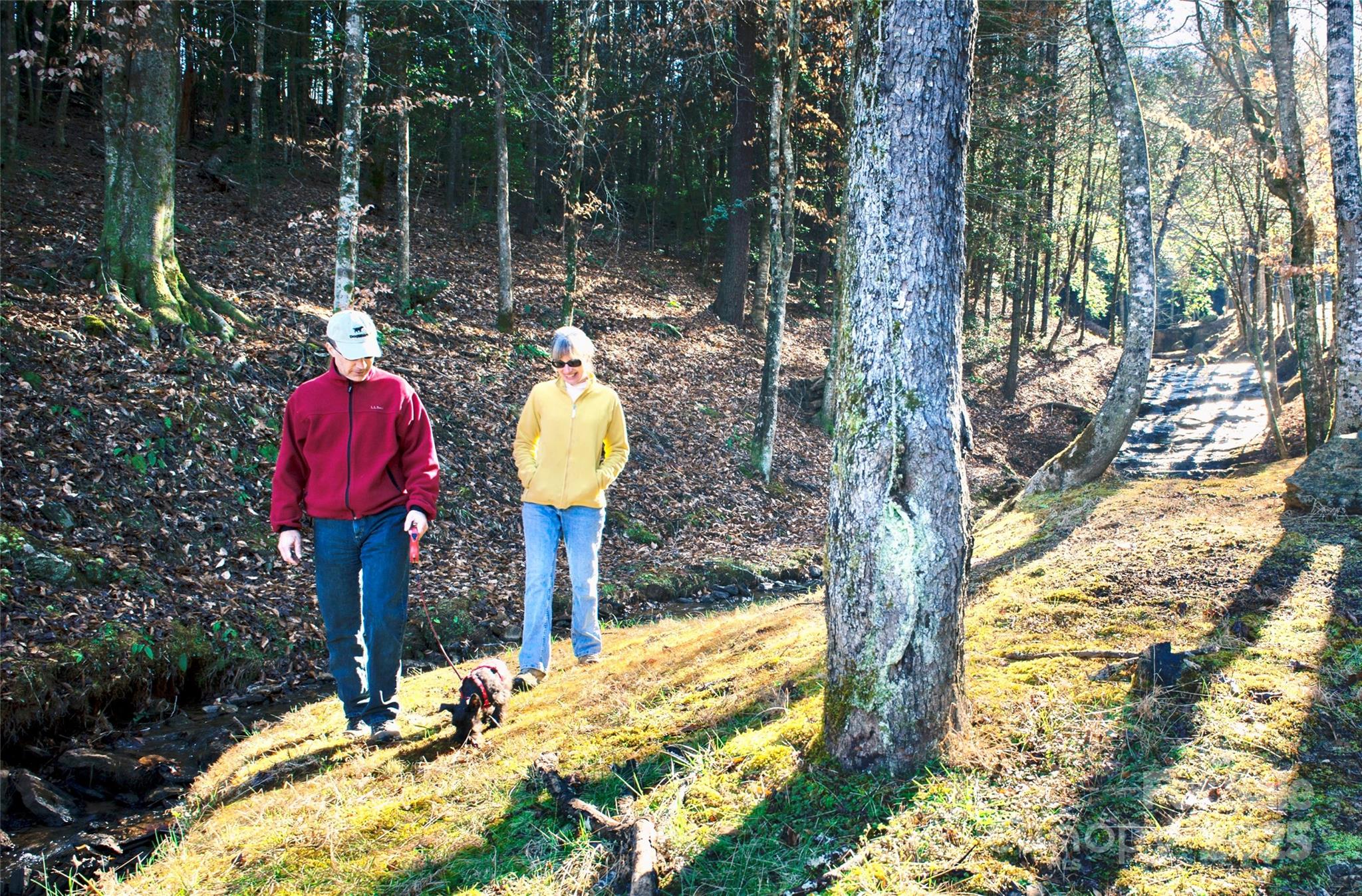 The Coves Mountain River Club - Land