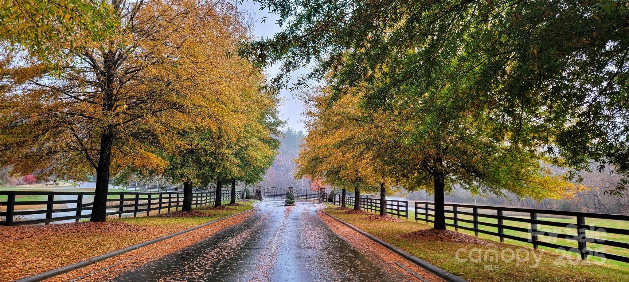 The Coves Mountain River Club - Land