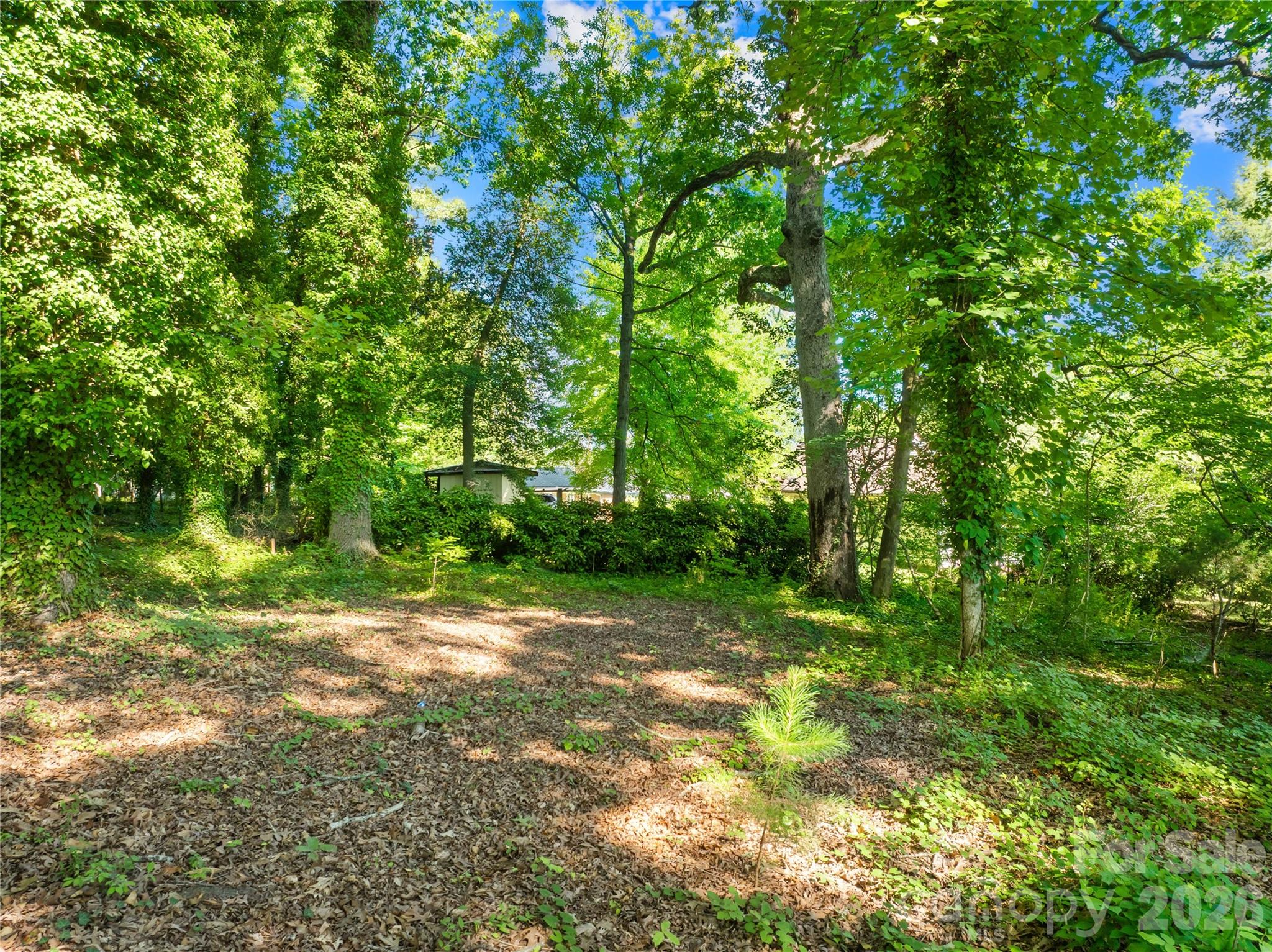 0000 Oak Trail