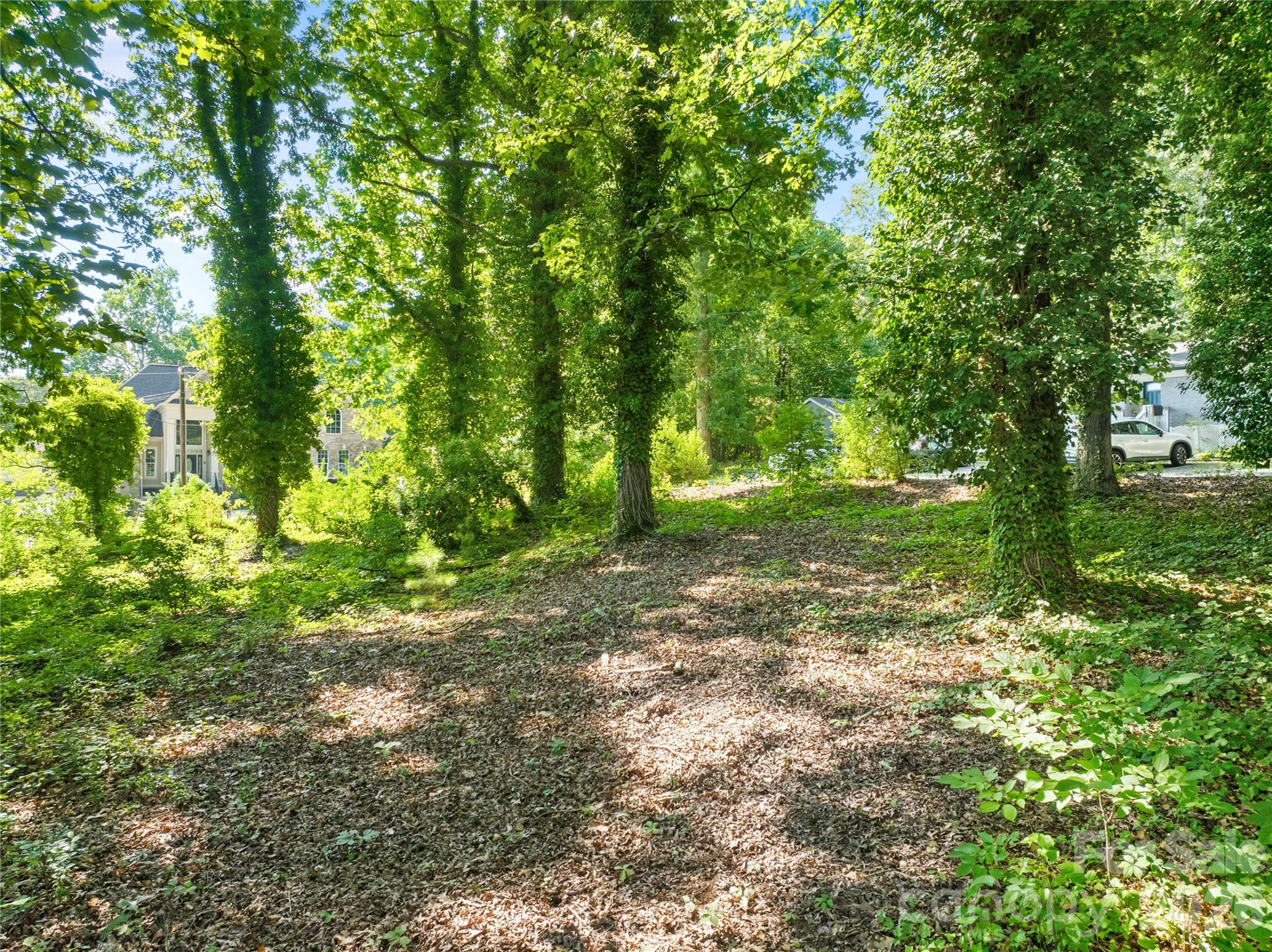 0000 Oak Trail