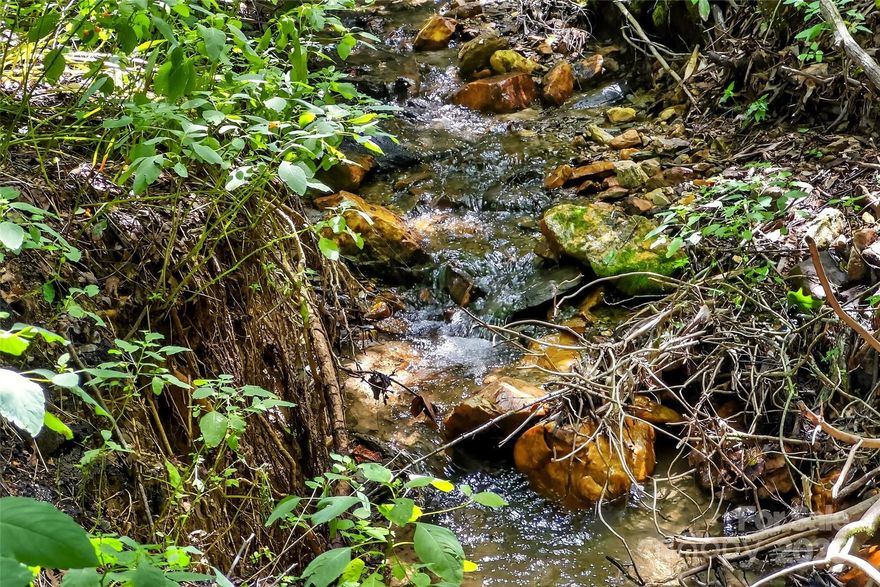 This vacant land offers the perfect blend of privacy and convenience. Located just minutes from town and with easy access to the interstate, & provides a peaceful, setting with minimal restrictions. Four contiguious lots with just under an acre of land and a small creek running through it. Build your dream home with privacy and and make your own trails through the property. Come check it out today.