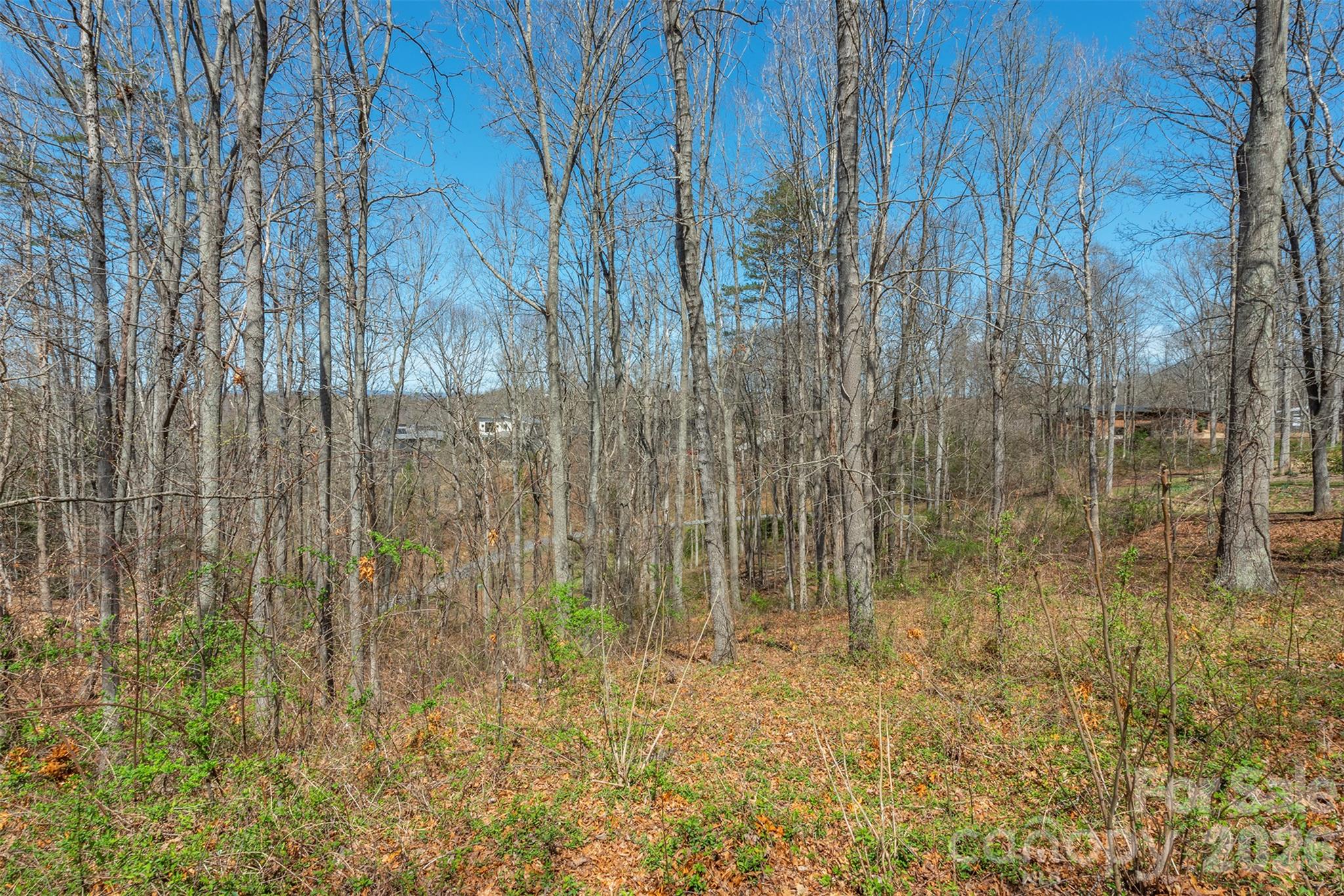 45 Sweet Fern Parkway 43