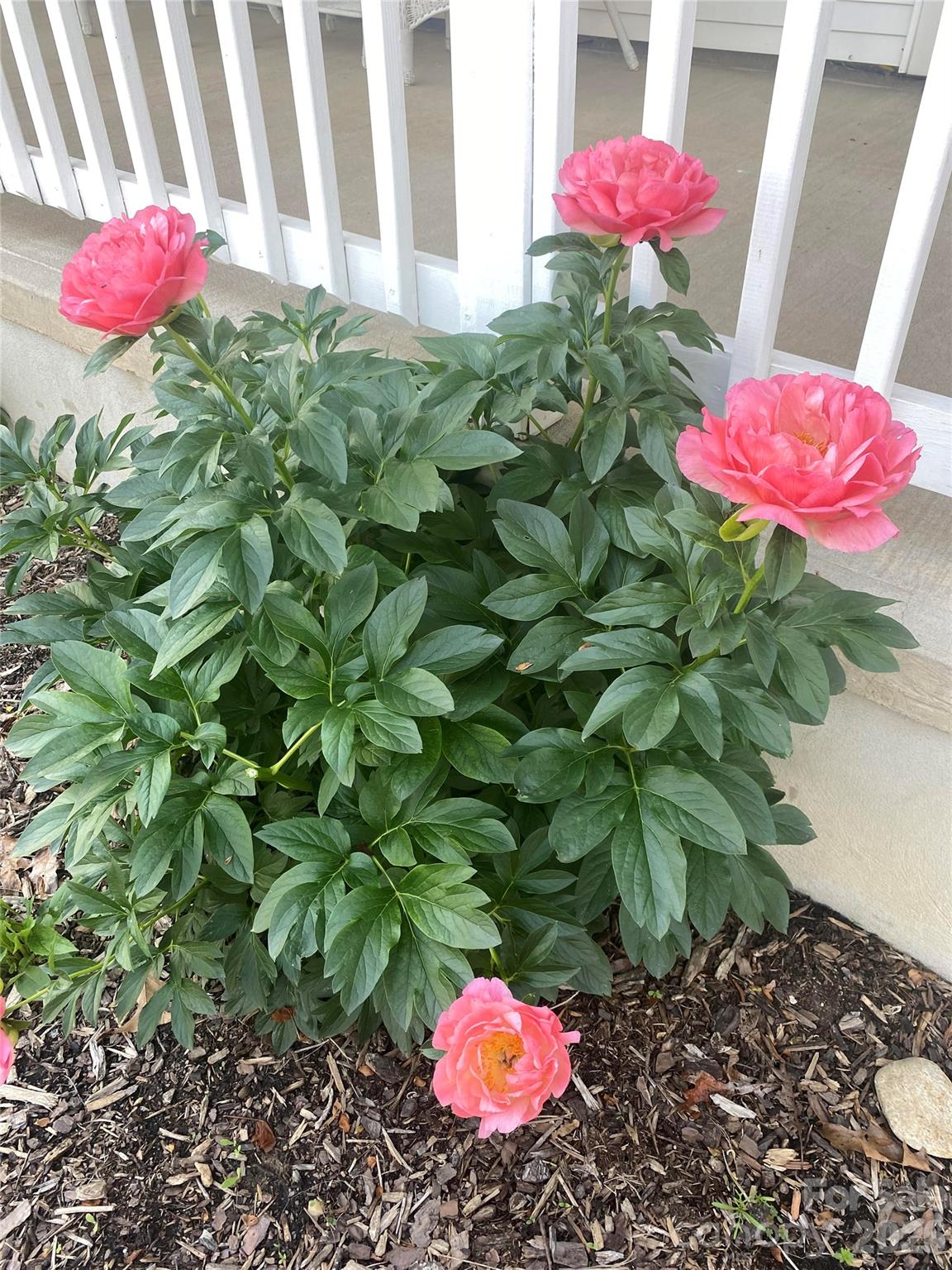 Paradise Acres - Residential