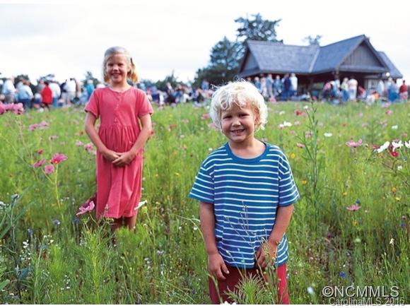 Lake Toxaway Estates - Residential