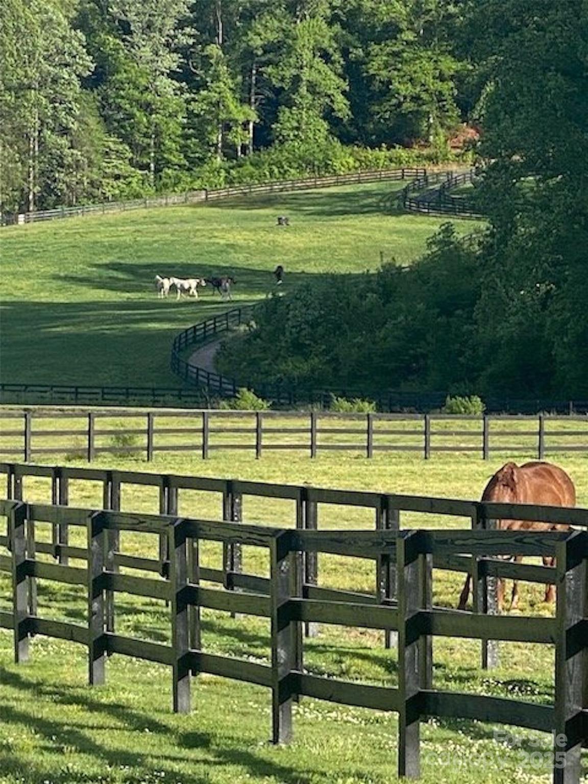 The Coves Mountain River Club - Land