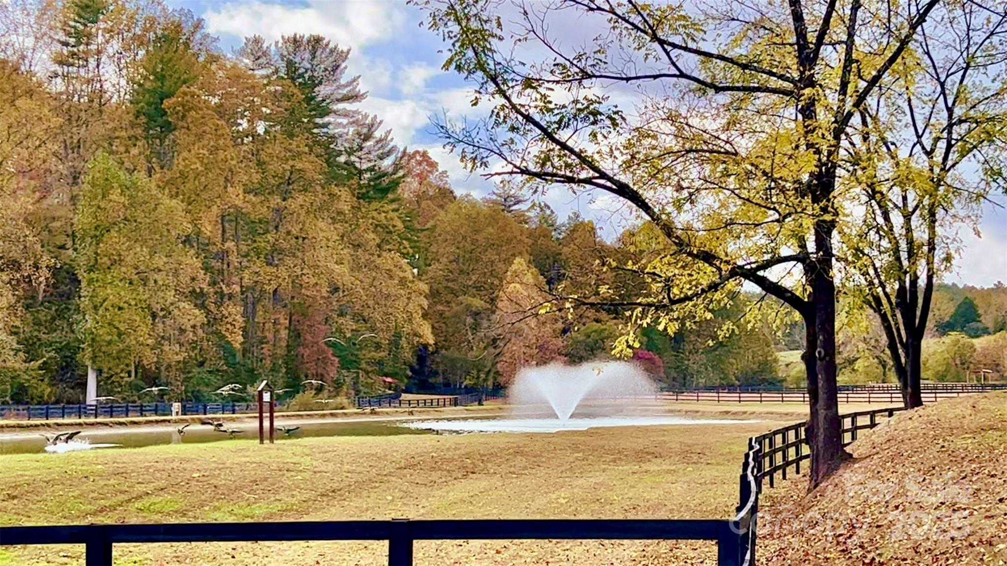 The Coves Mountain River Club - Land