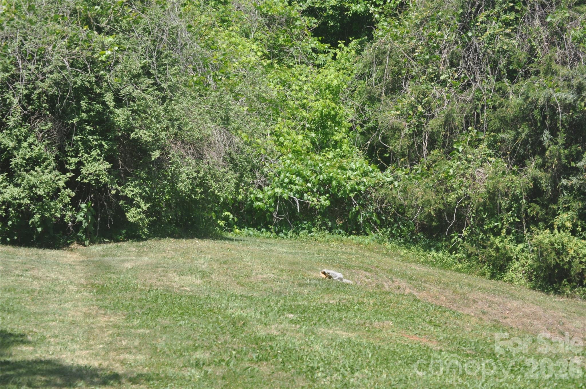 Paradise Point - Land