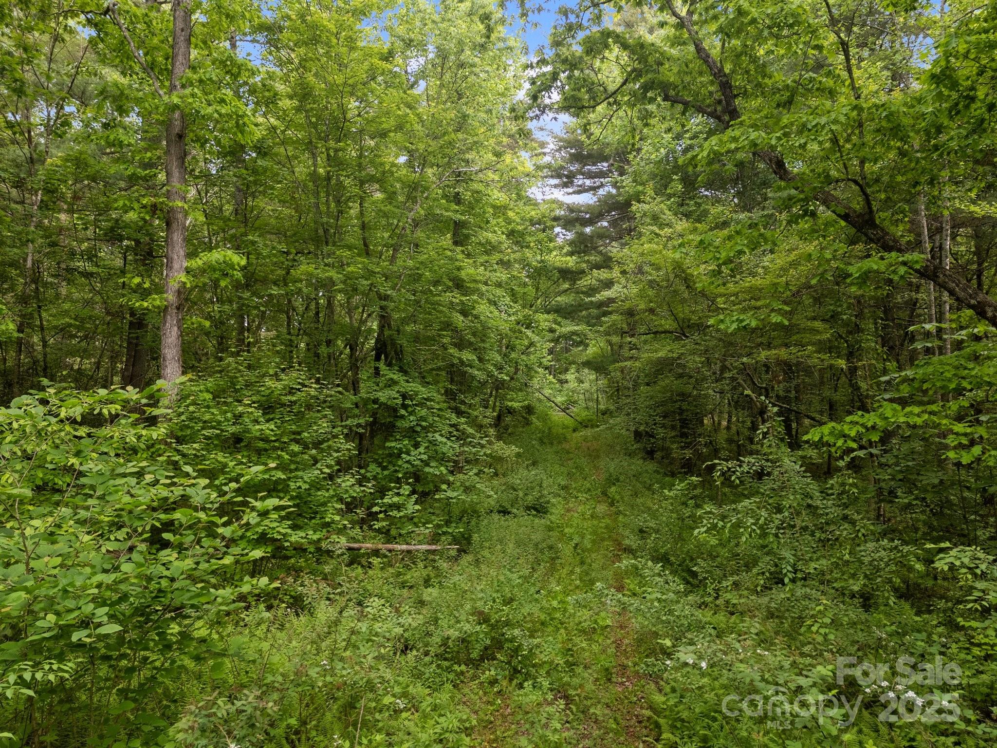 King Creek Preserve - Land
