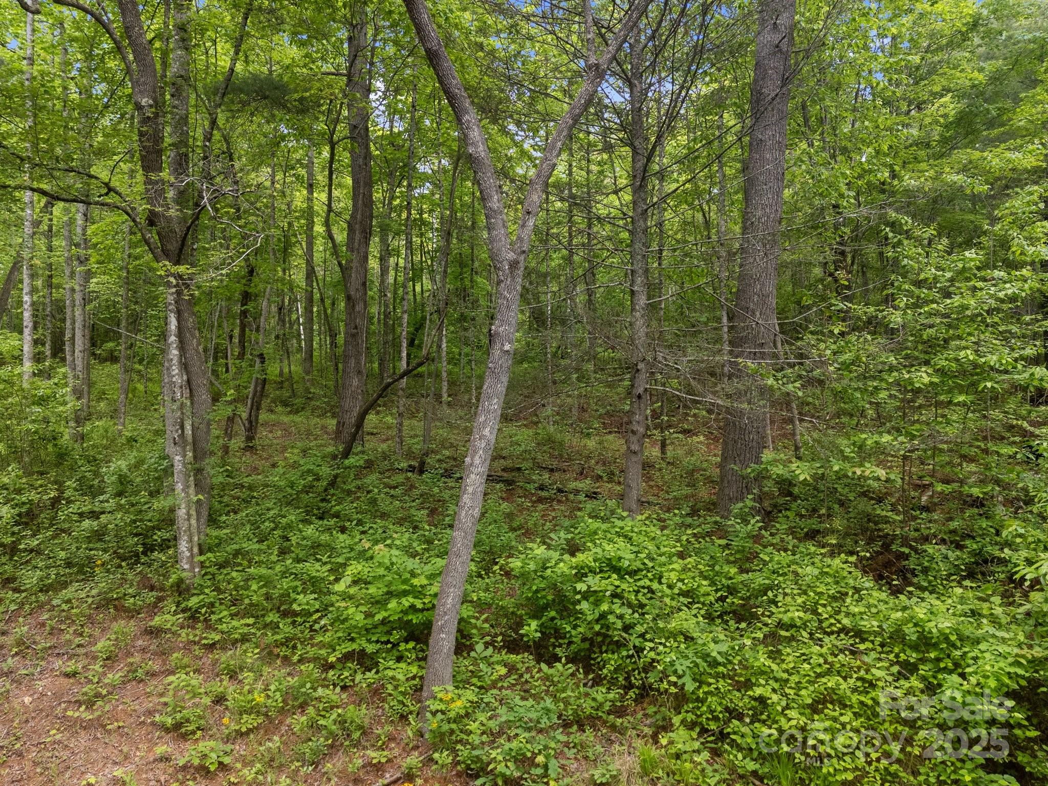King Creek Preserve - Land
