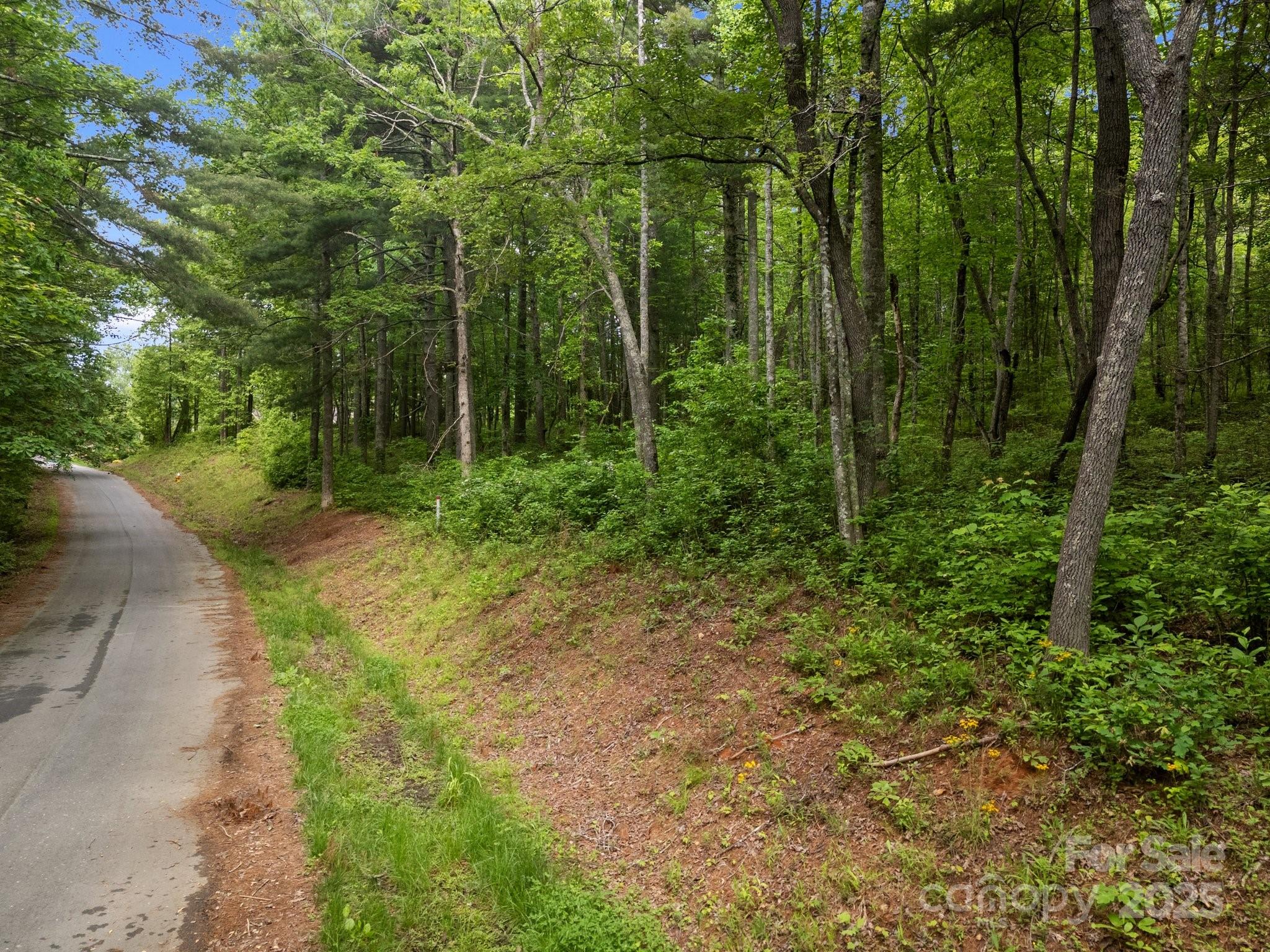 King Creek Preserve - Land