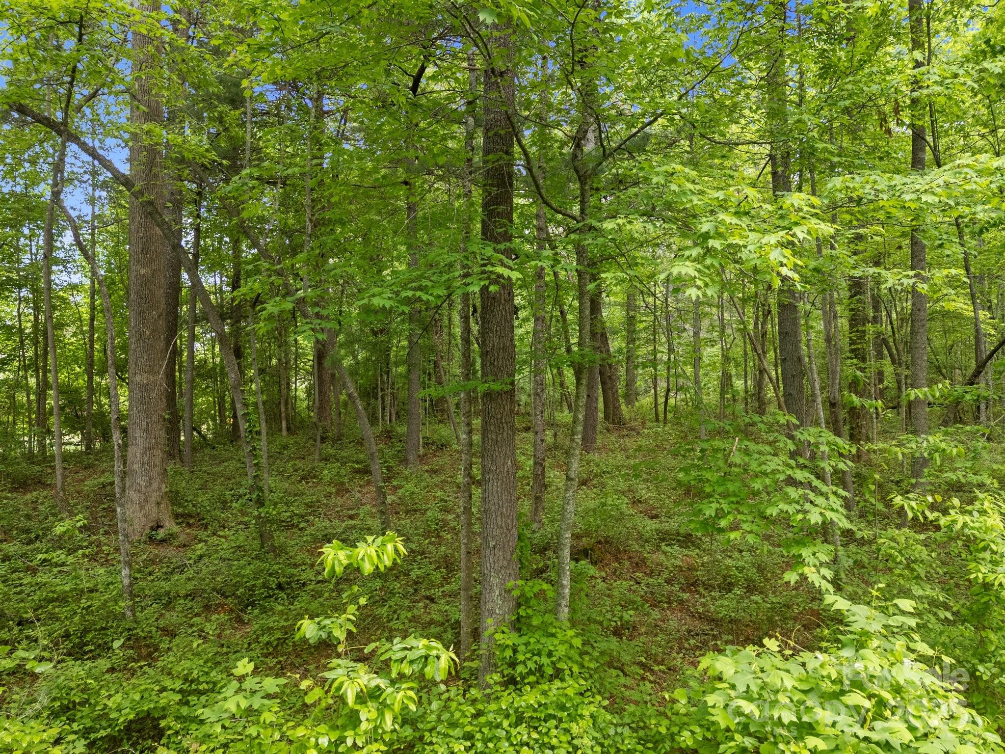 King Creek Preserve - Land