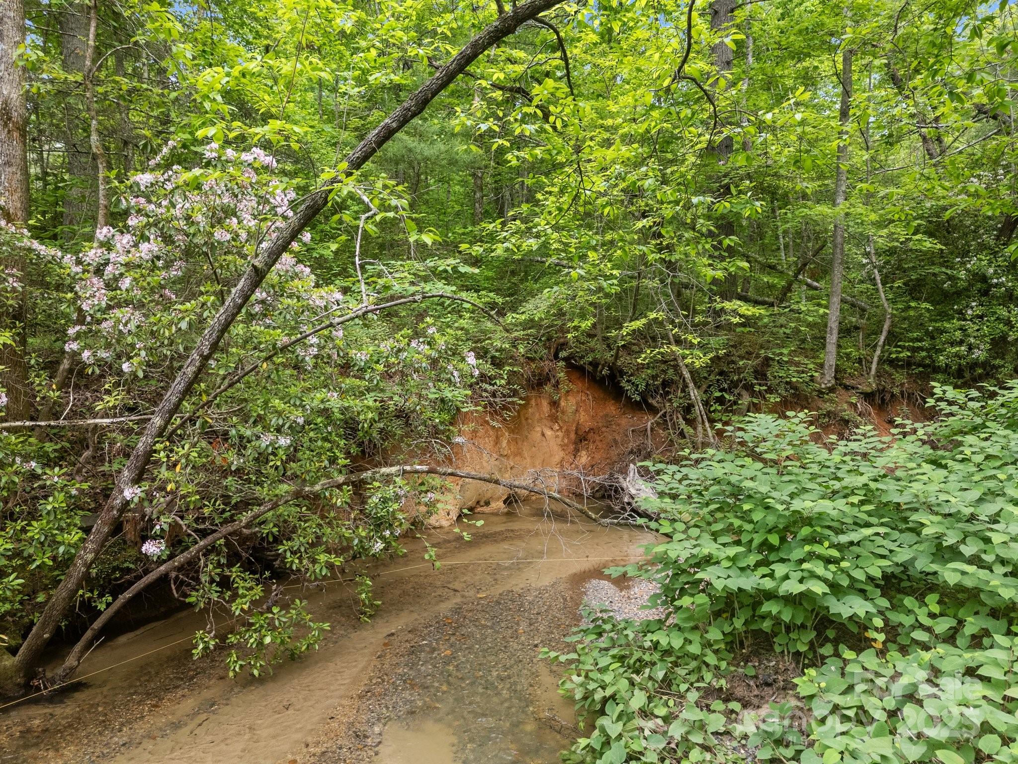 King Creek Preserve - Land