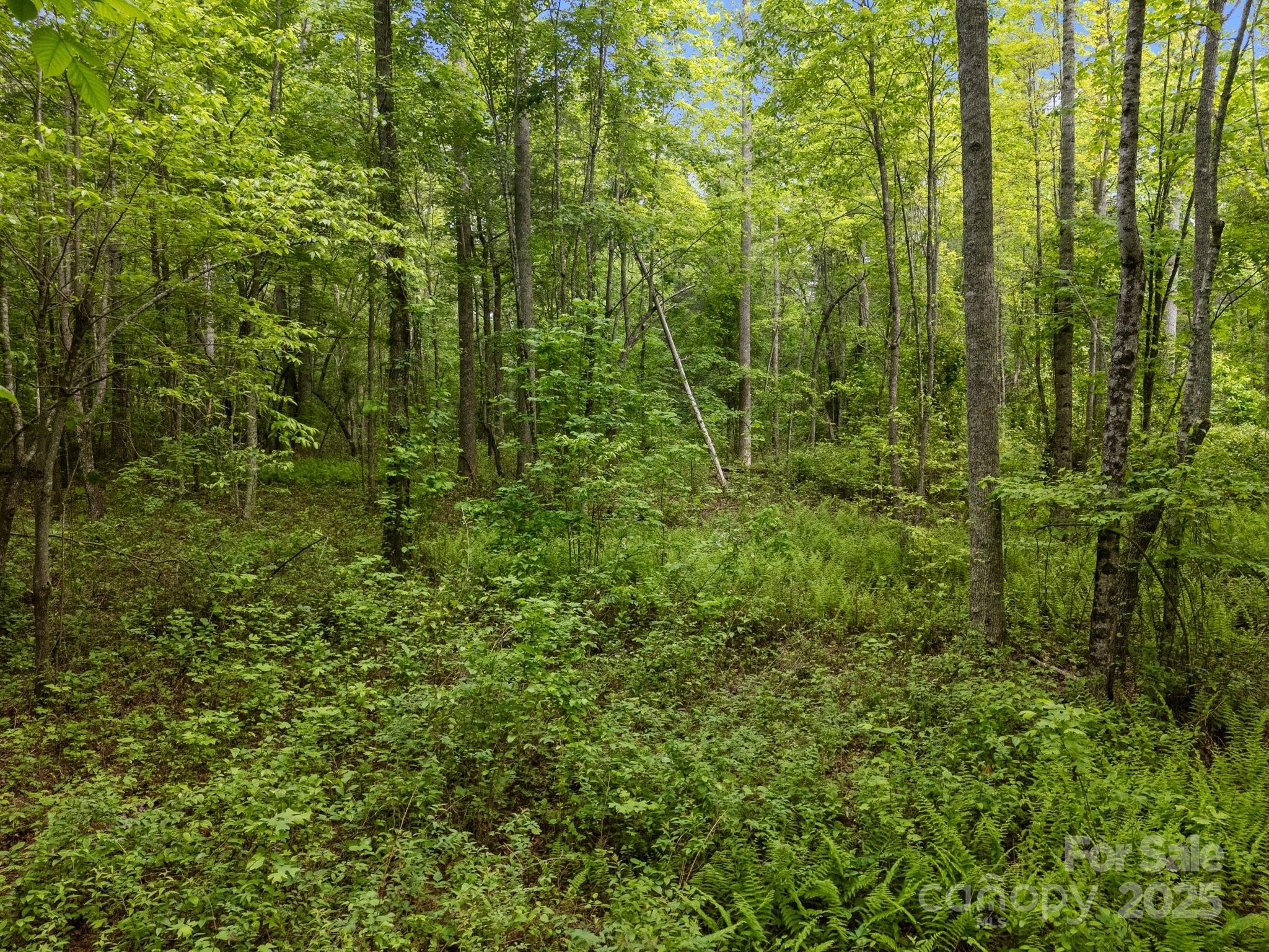King Creek Preserve - Land