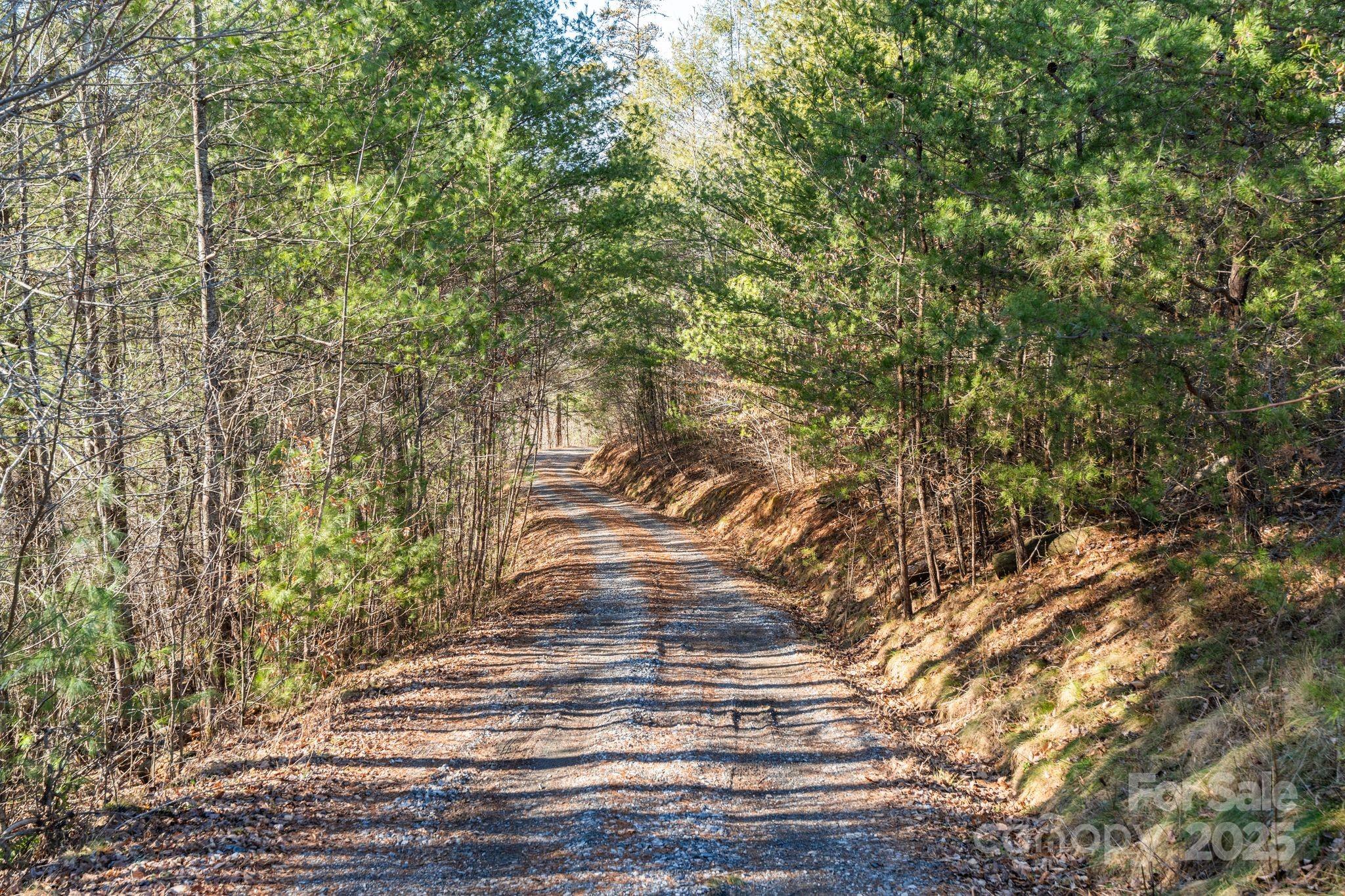 131 Ivy Bluff Road 3