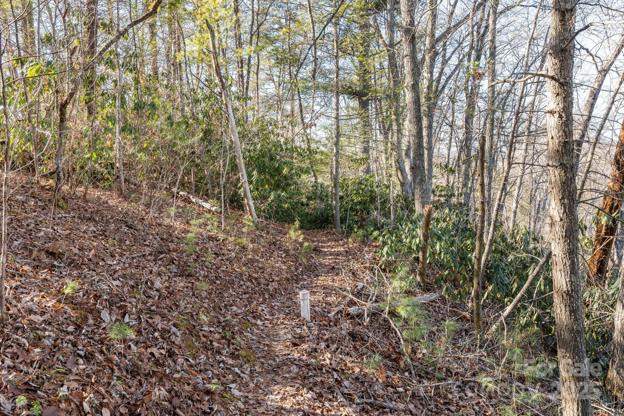 Ivy River Bluffs - Land