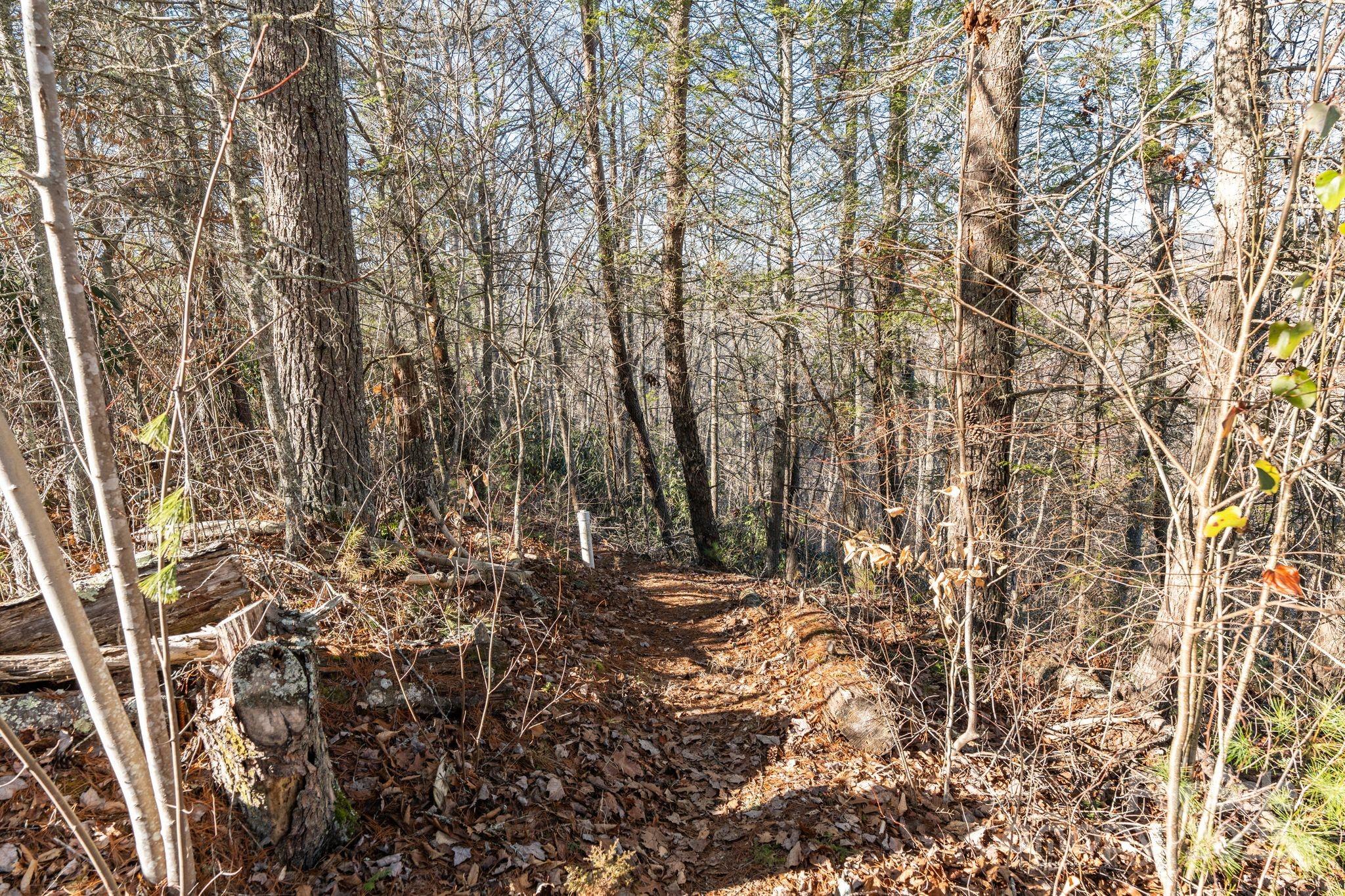 Ivy River Bluffs - Land