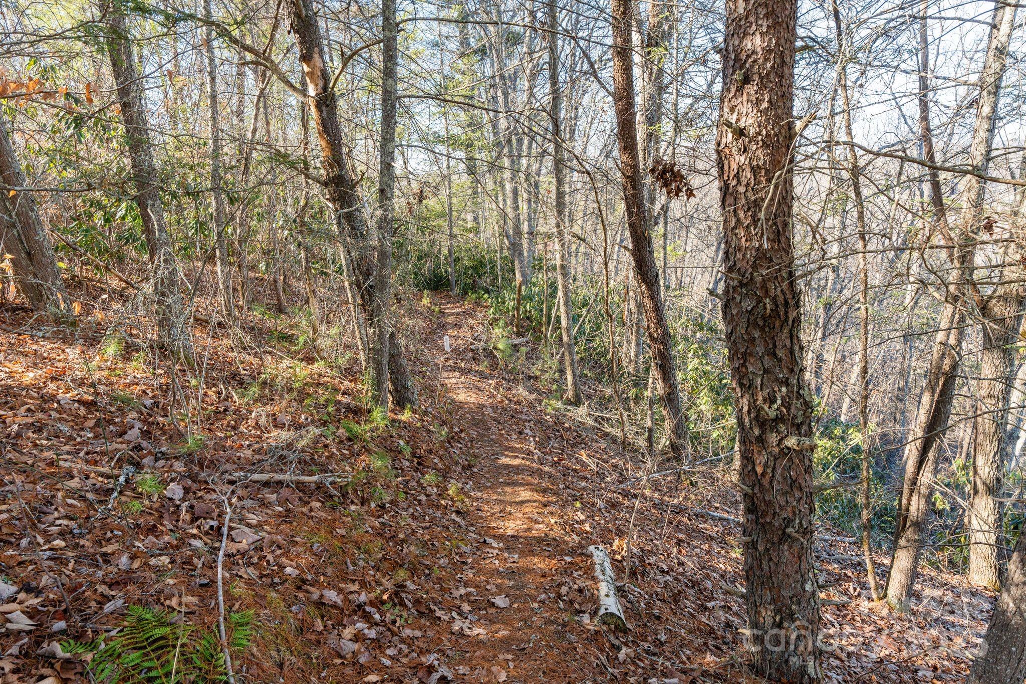 Ivy River Bluffs - Land