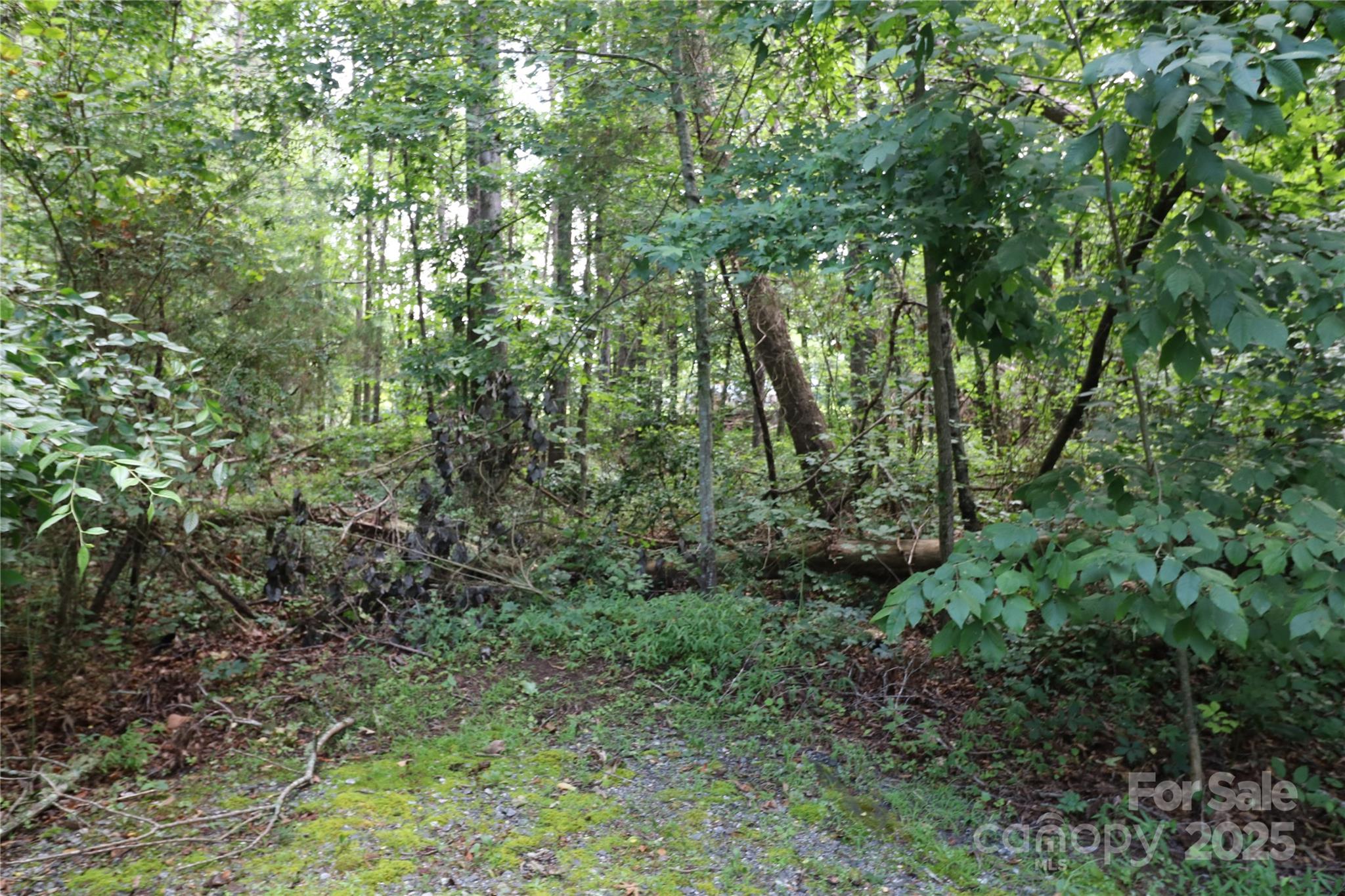 Whispering Pines - Land