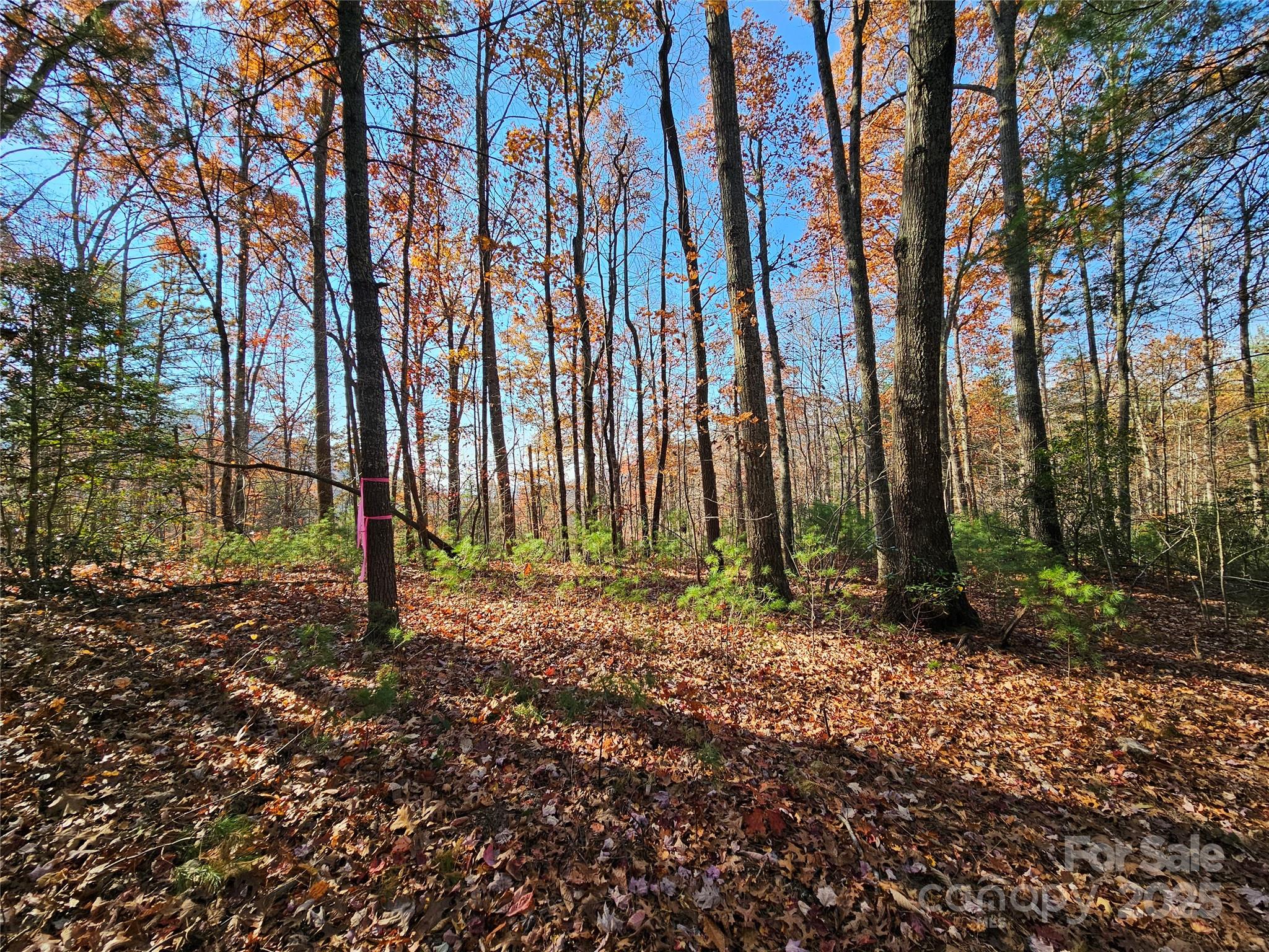 9999-17 Bob Barnwell Road