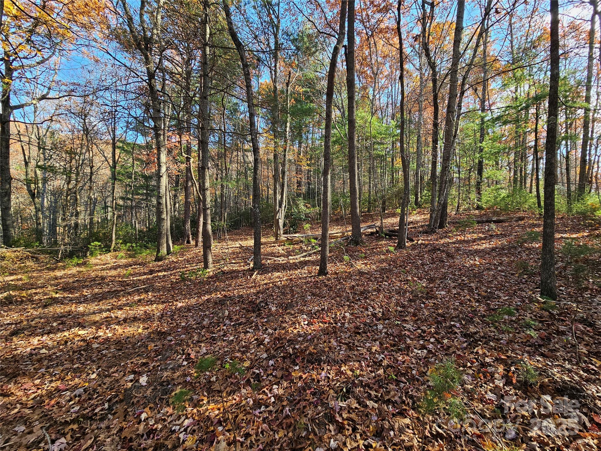 9999-17 Bob Barnwell Road