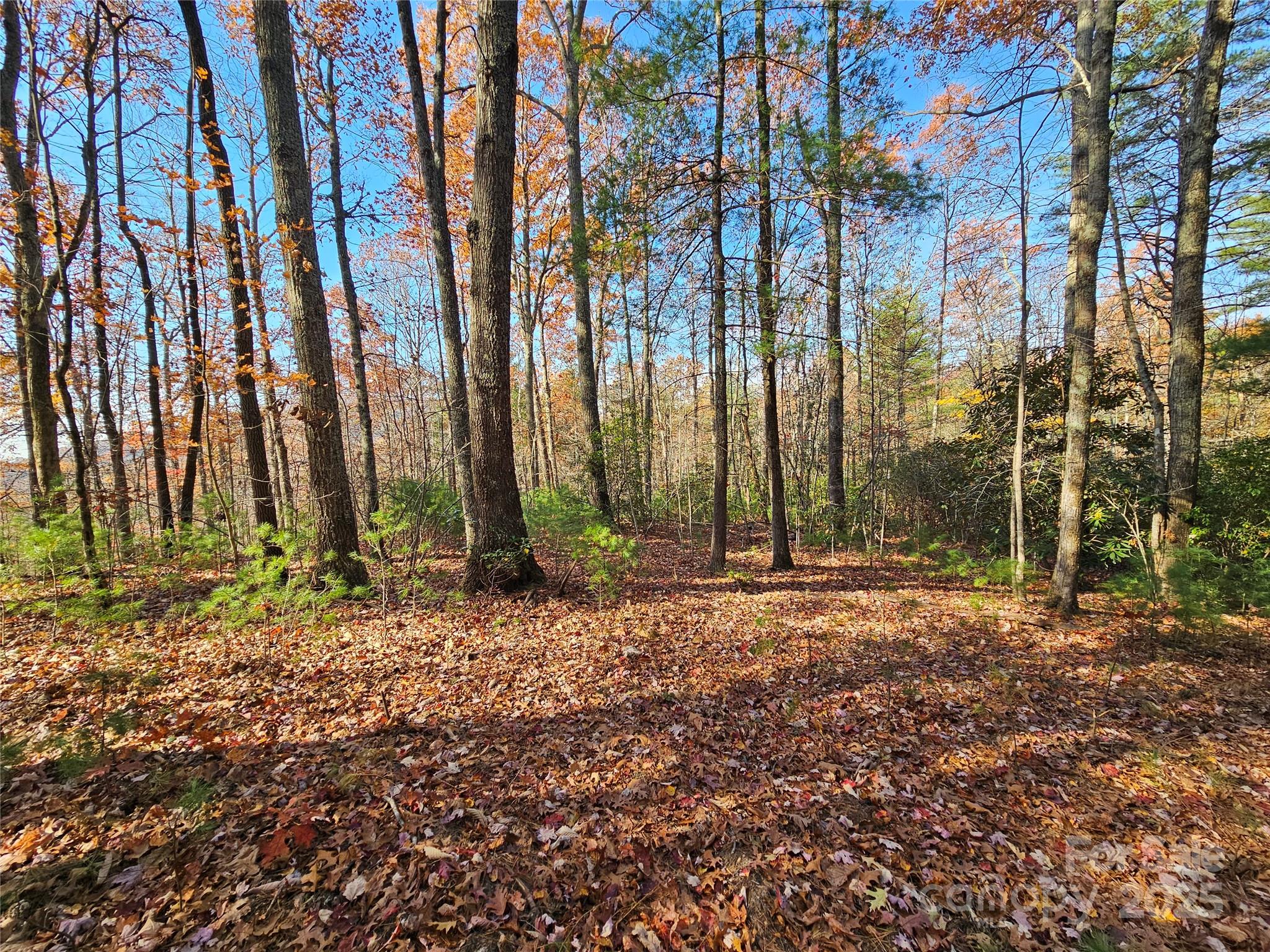 9999-17 Bob Barnwell Road