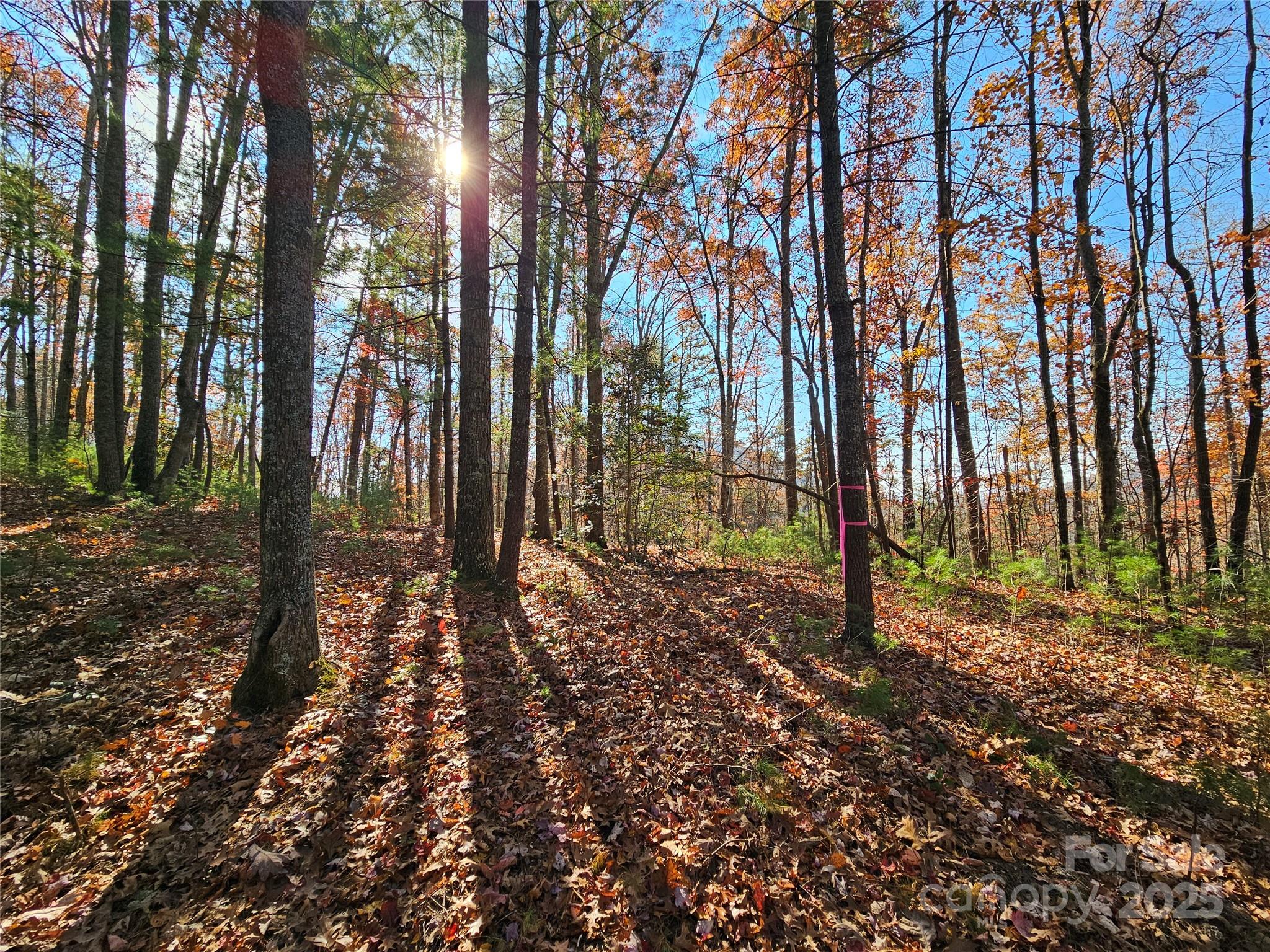 9999-17 Bob Barnwell Road