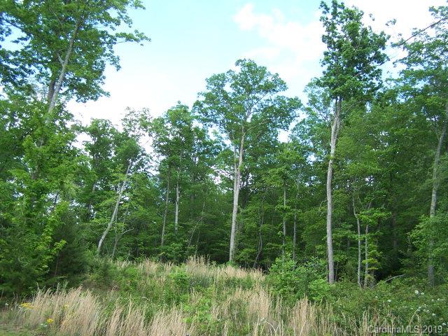 Winsome Forest - Commercial Sale