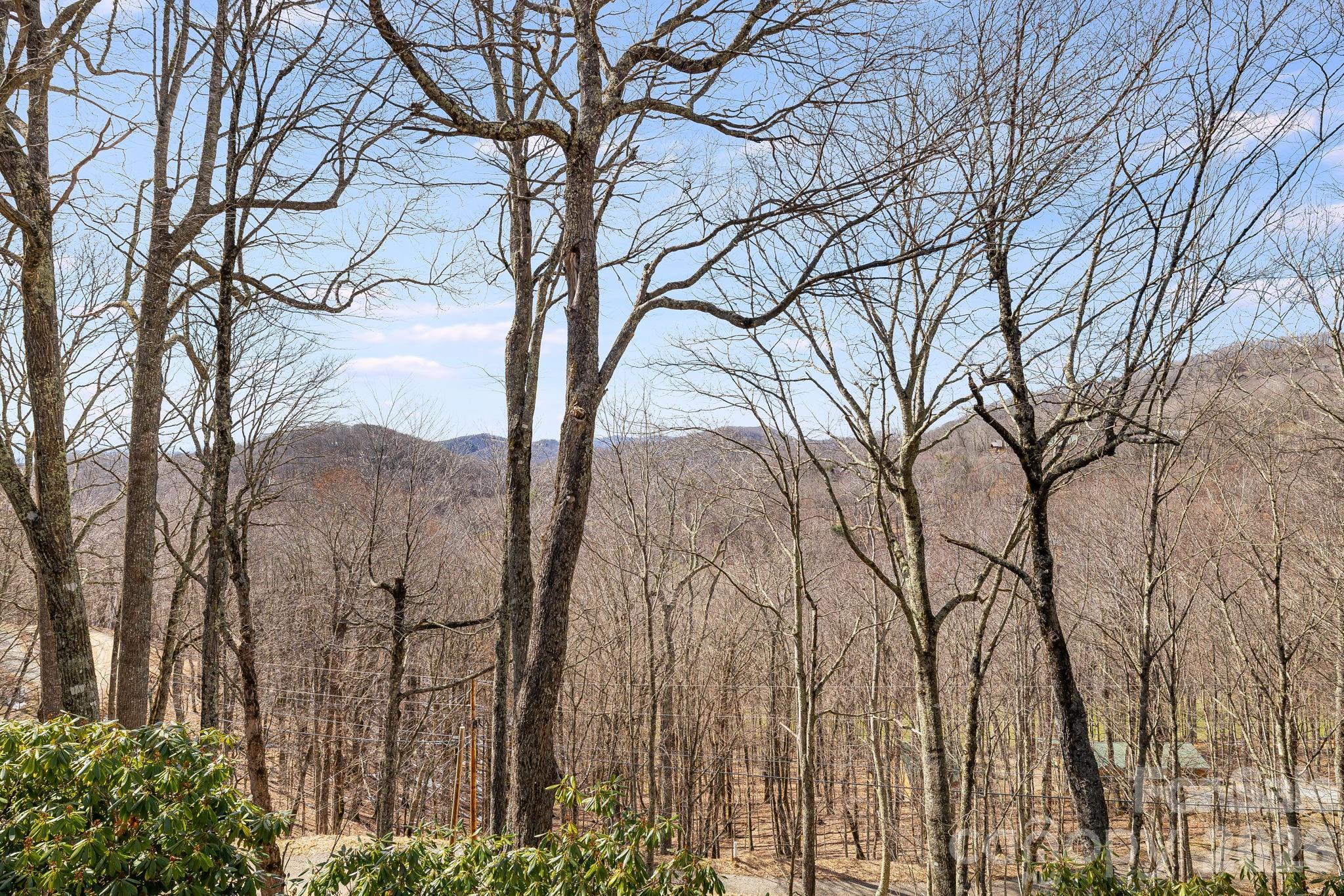 Wolf Laurel - Residential